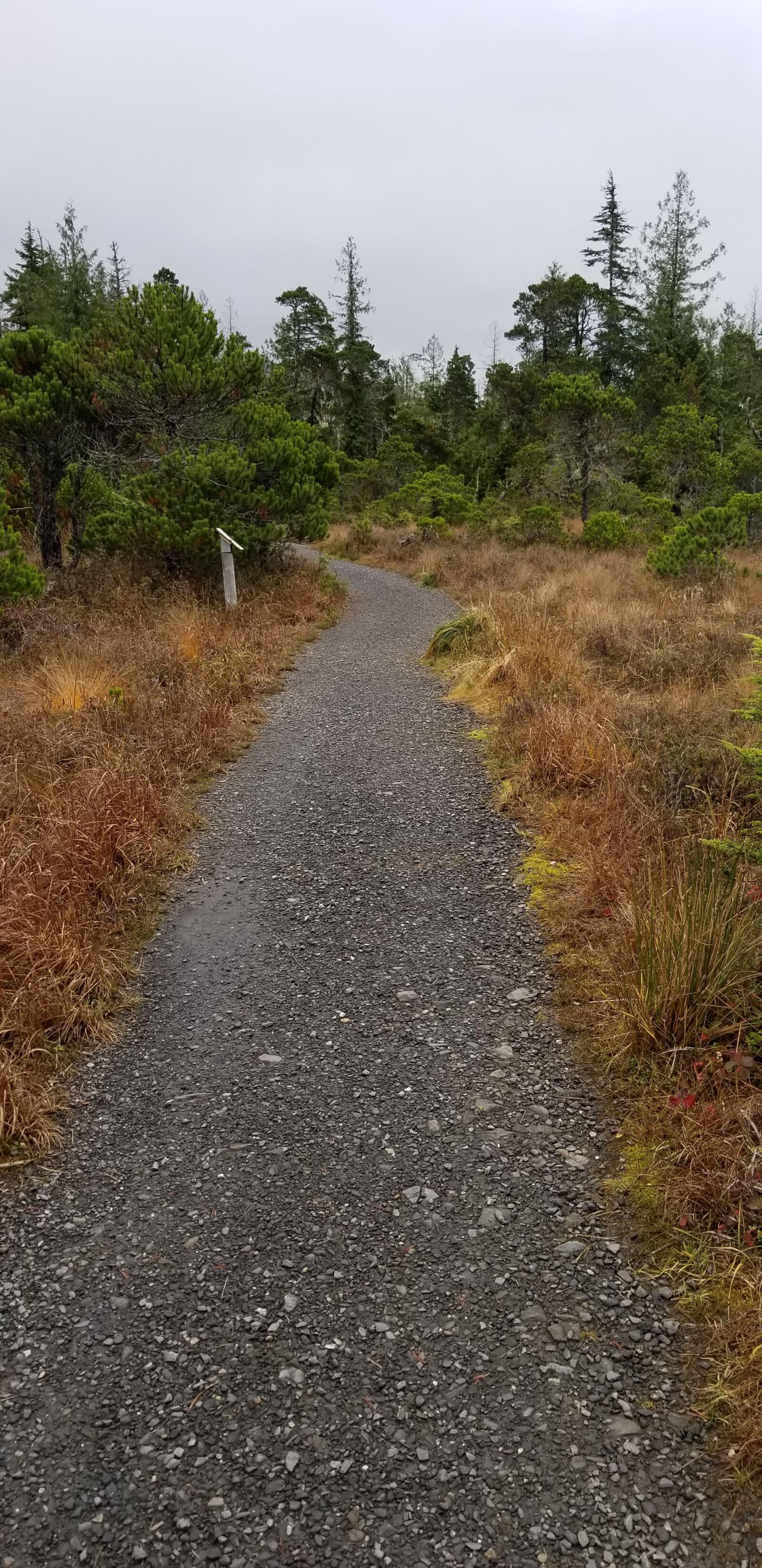 Samsung Galaxy S8 sample photo. Peaceful path, forest path photography