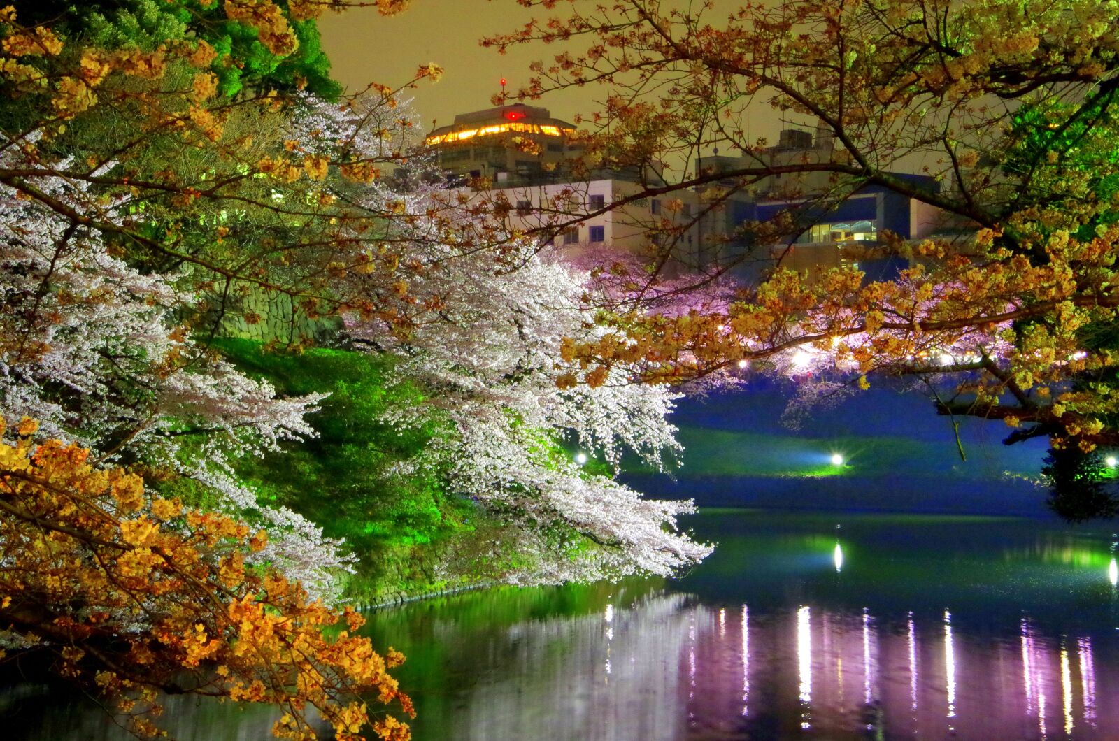 Pentax K-30 sample photo. Chidorigafuchi, cherry blossoms, spring photography