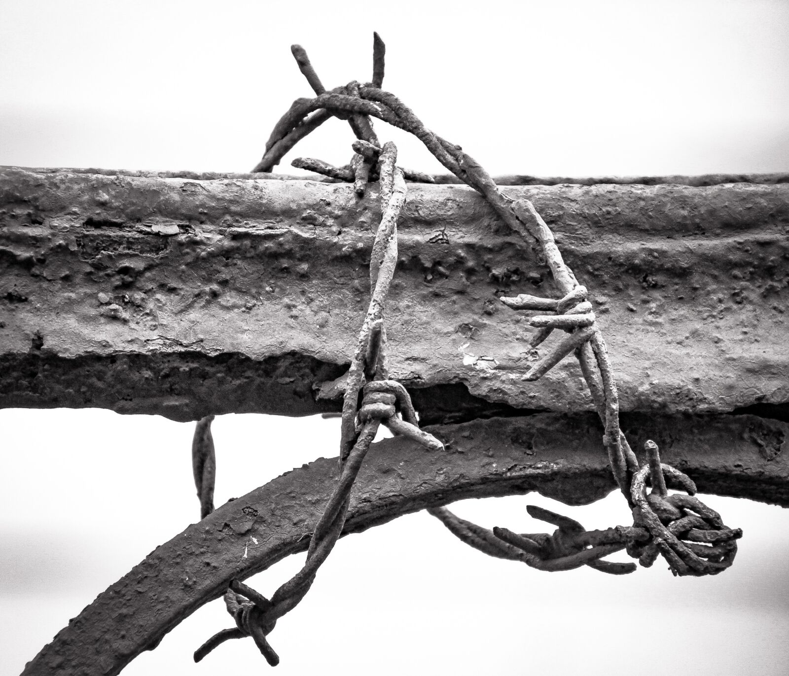 Canon EOS 60D sample photo. Metal, barbed wire, rusted photography