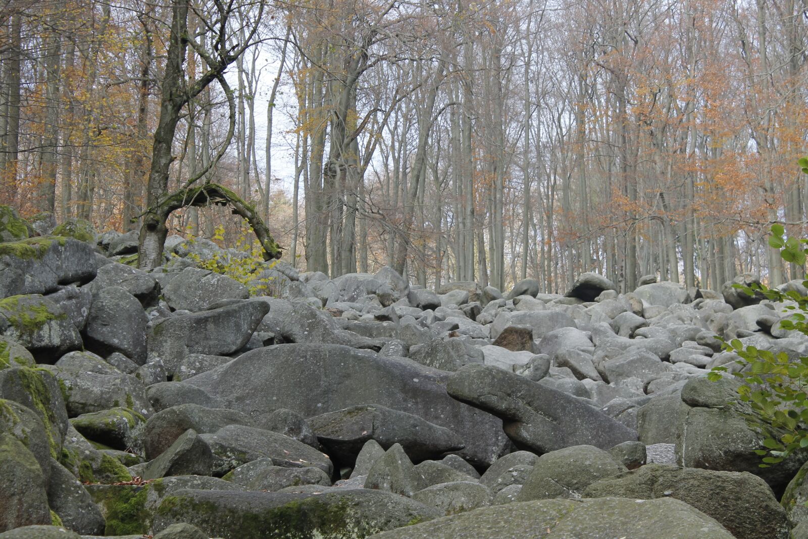 Canon EOS 1100D (EOS Rebel T3 / EOS Kiss X50) sample photo. Autumn, stones, rock photography