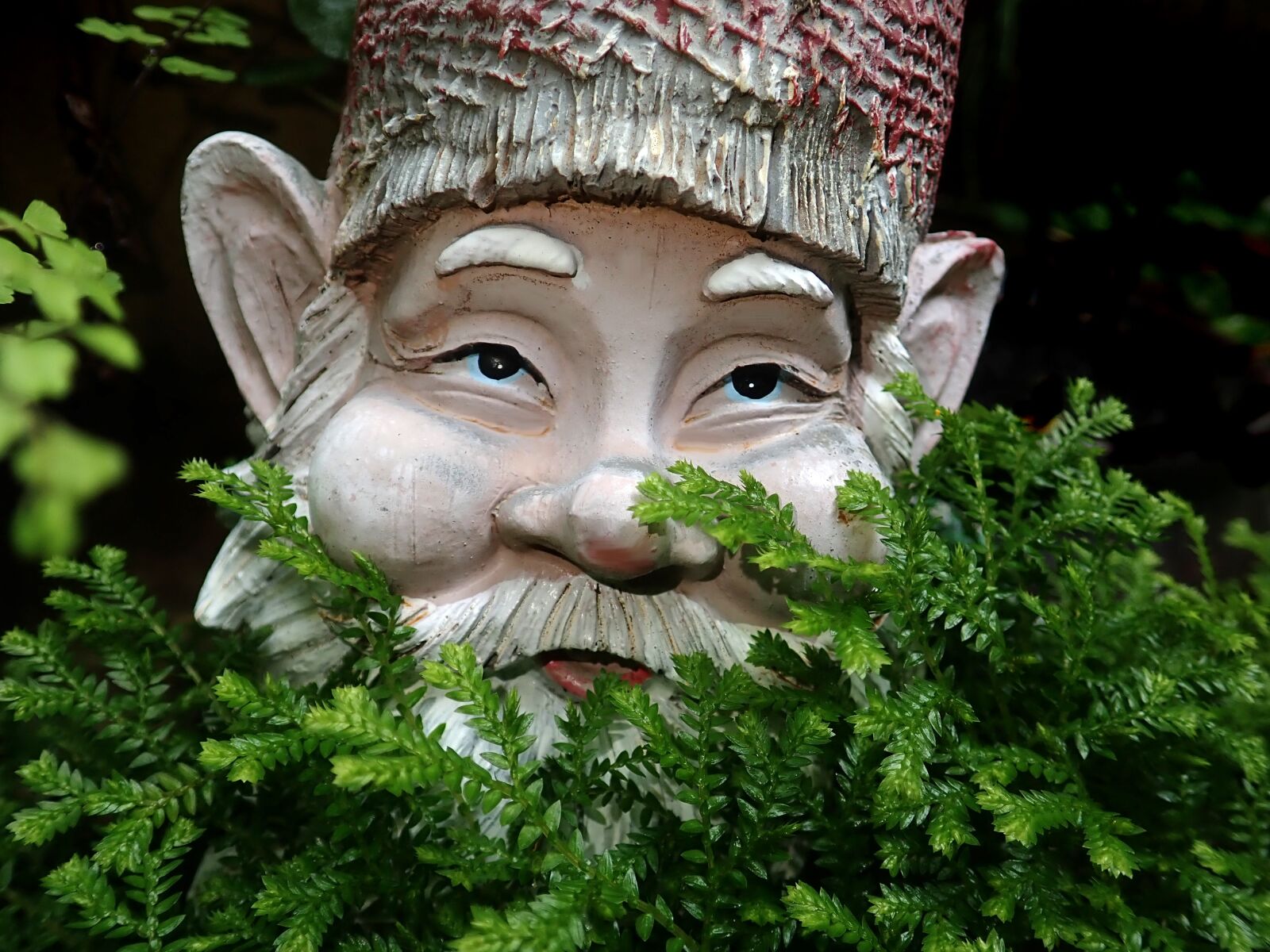 Olympus TG-5 sample photo. Gnome, ferns, garden photography