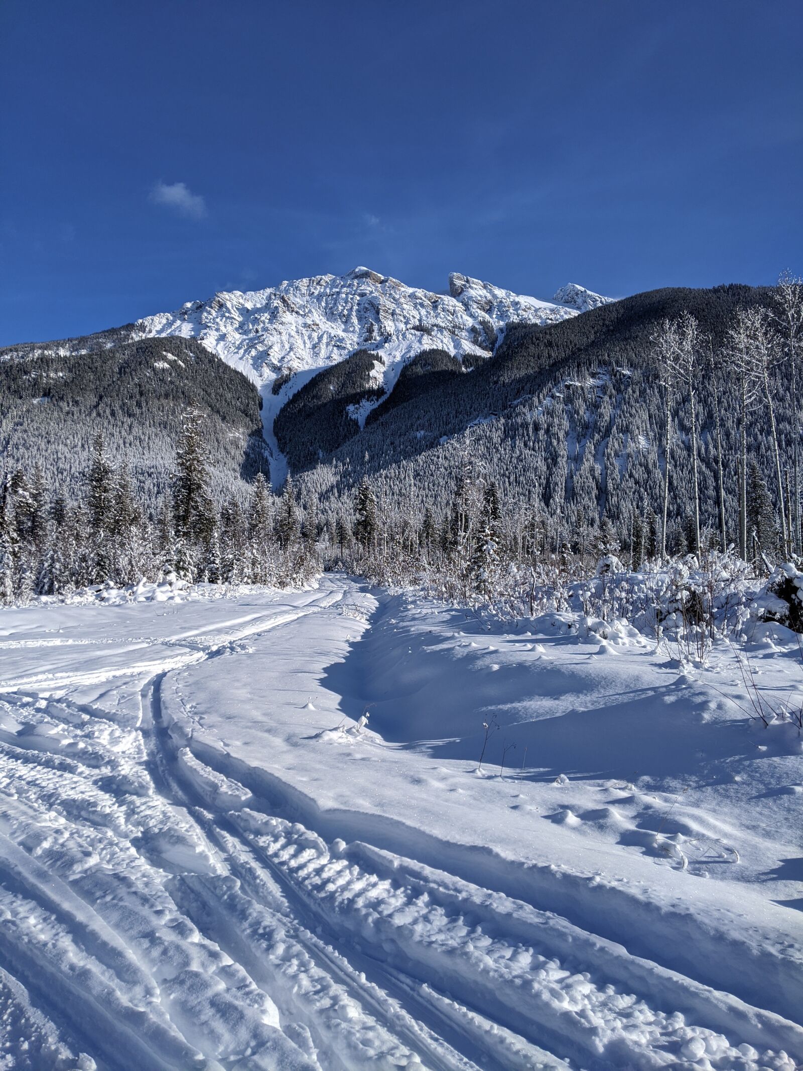 Google Pixel 3 sample photo. Blaeberry, british columbia, canada photography