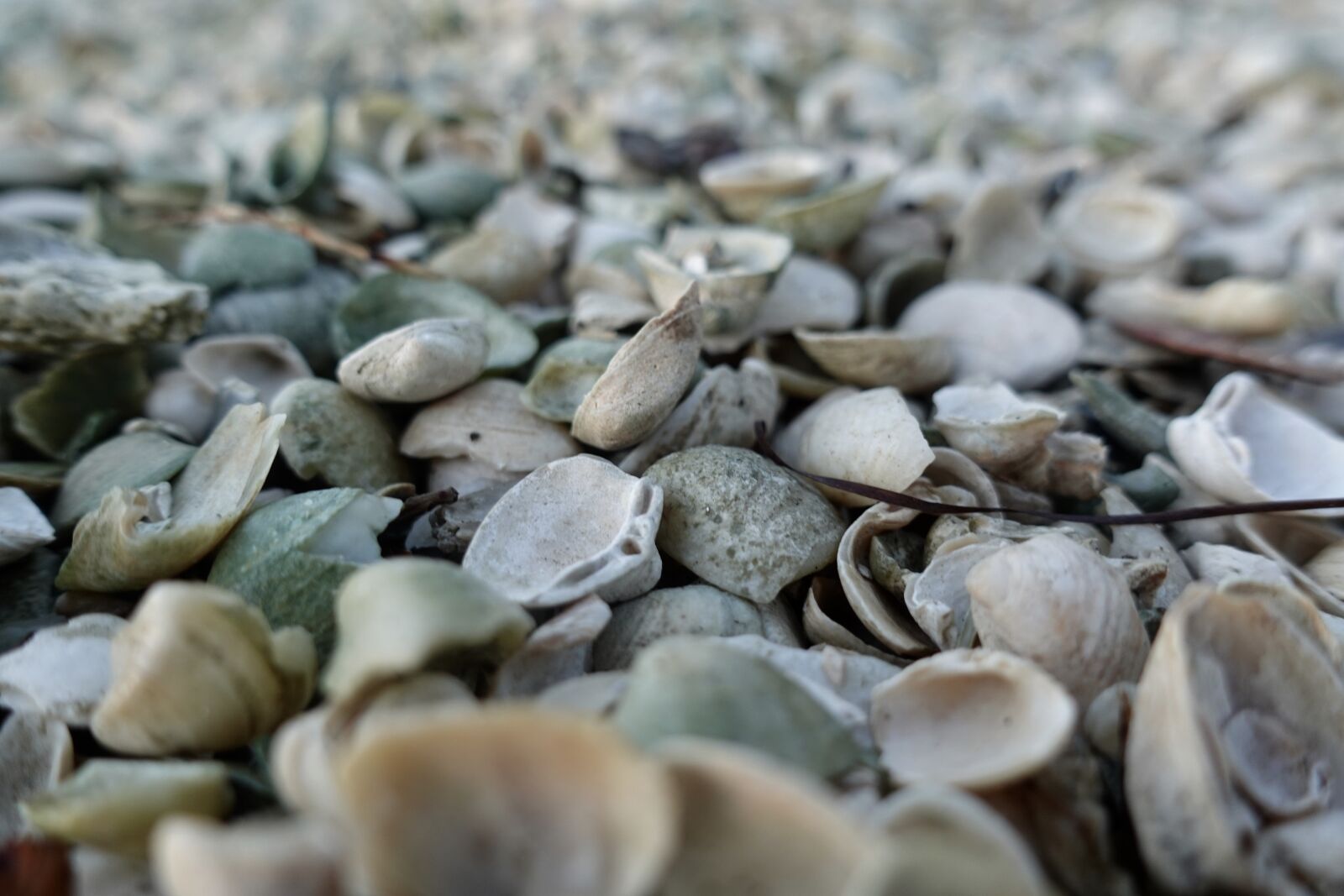 Sony DSC-RX100M5A sample photo. Sea, sand, beach photography
