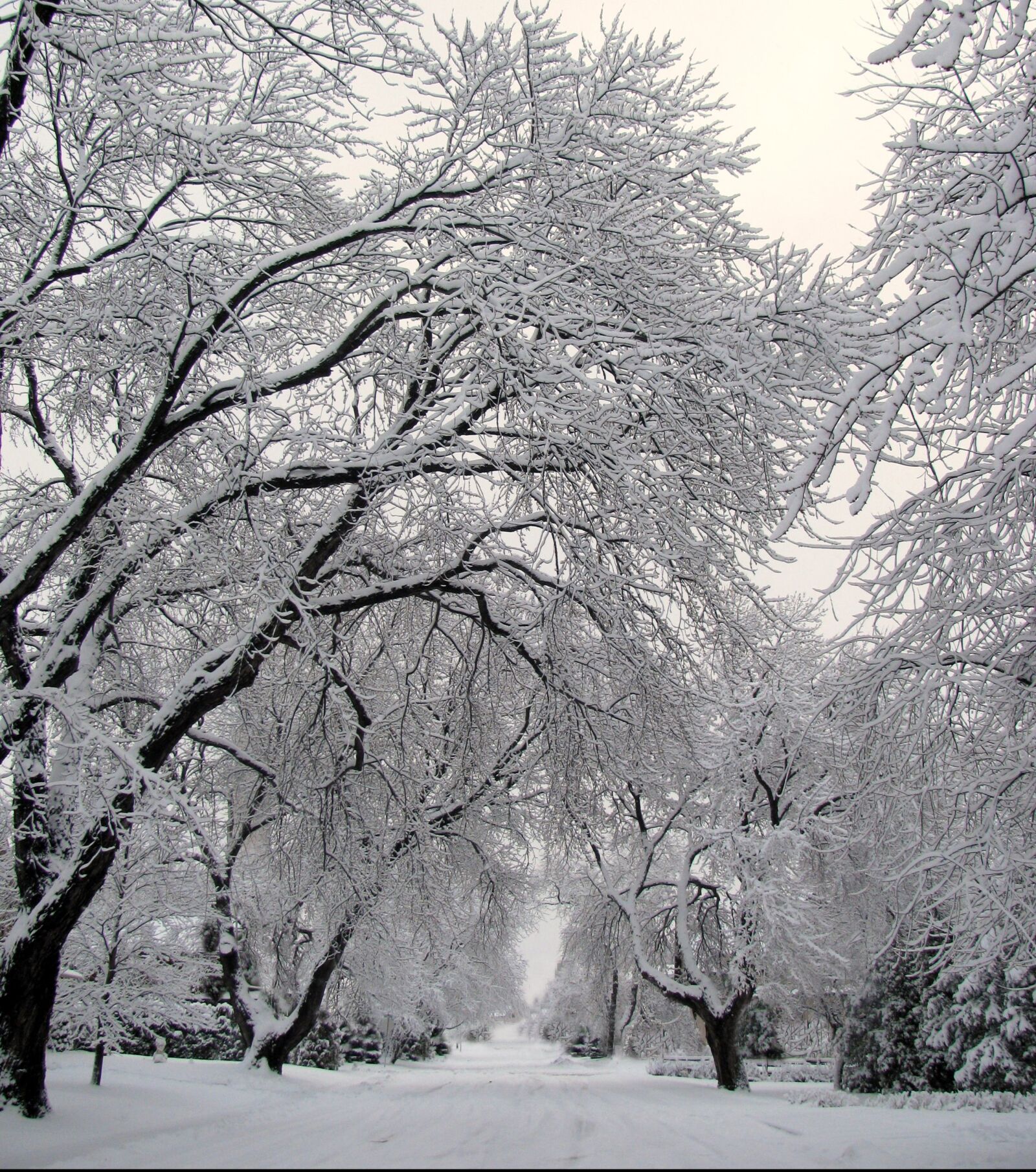Canon PowerShot SX110 IS sample photo. Street, snow, winter photography