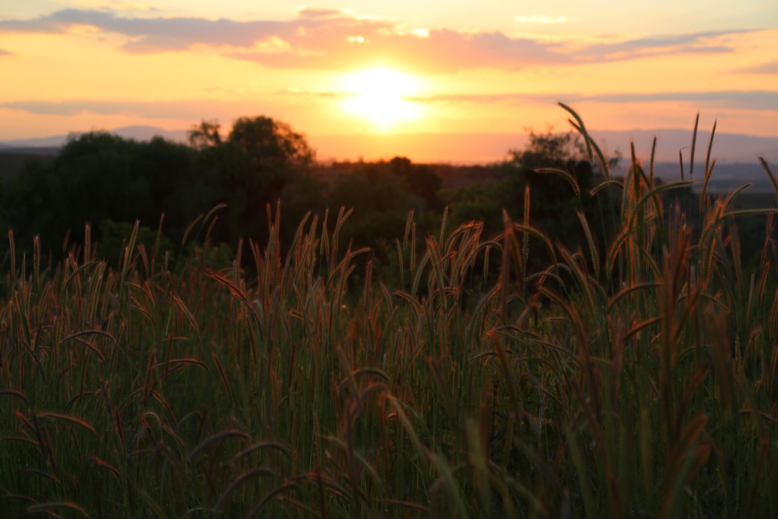Canon EF 24-105mm F4L IS USM sample photo. Sunset, solar, landscape photography