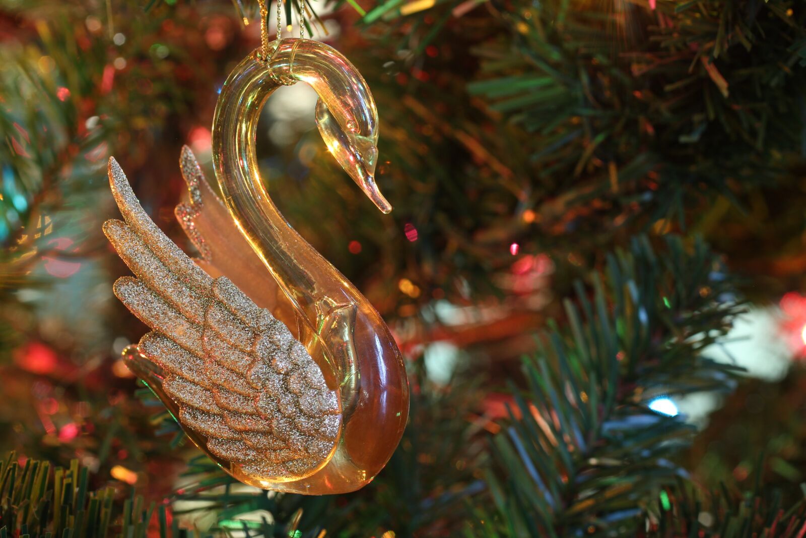 Canon EOS 650D (EOS Rebel T4i / EOS Kiss X6i) sample photo. Christmas, swan, ornament photography