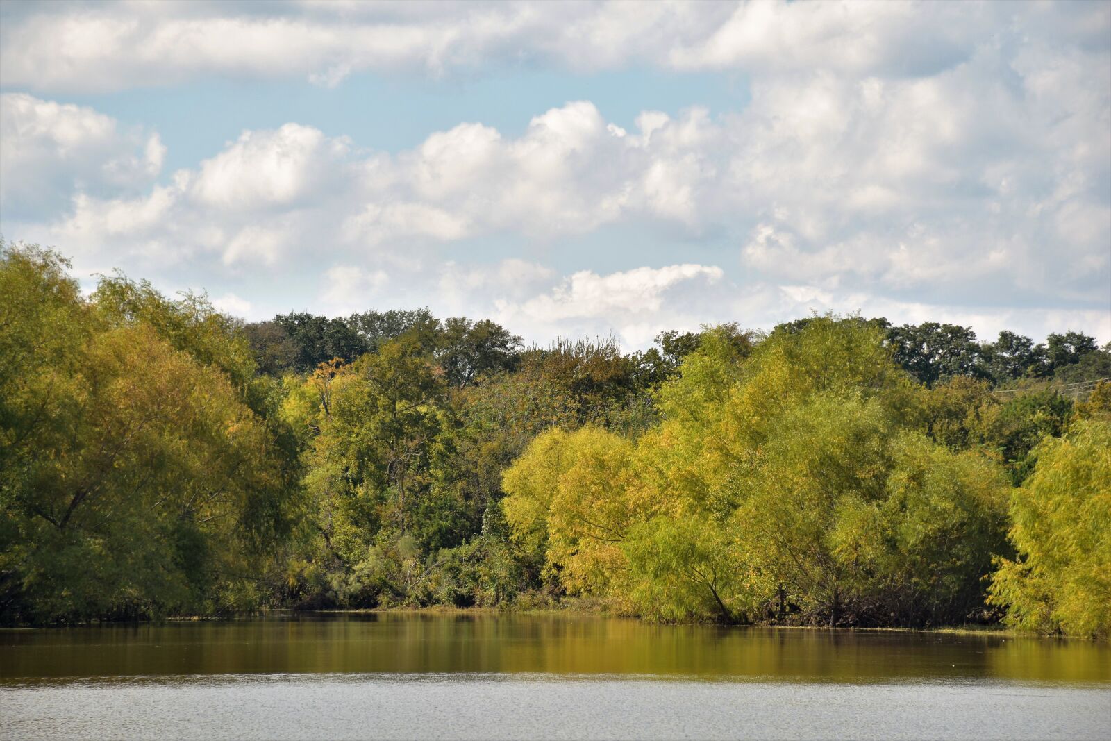 Nikon D5500 sample photo. Waterscape, landscape, trees photography