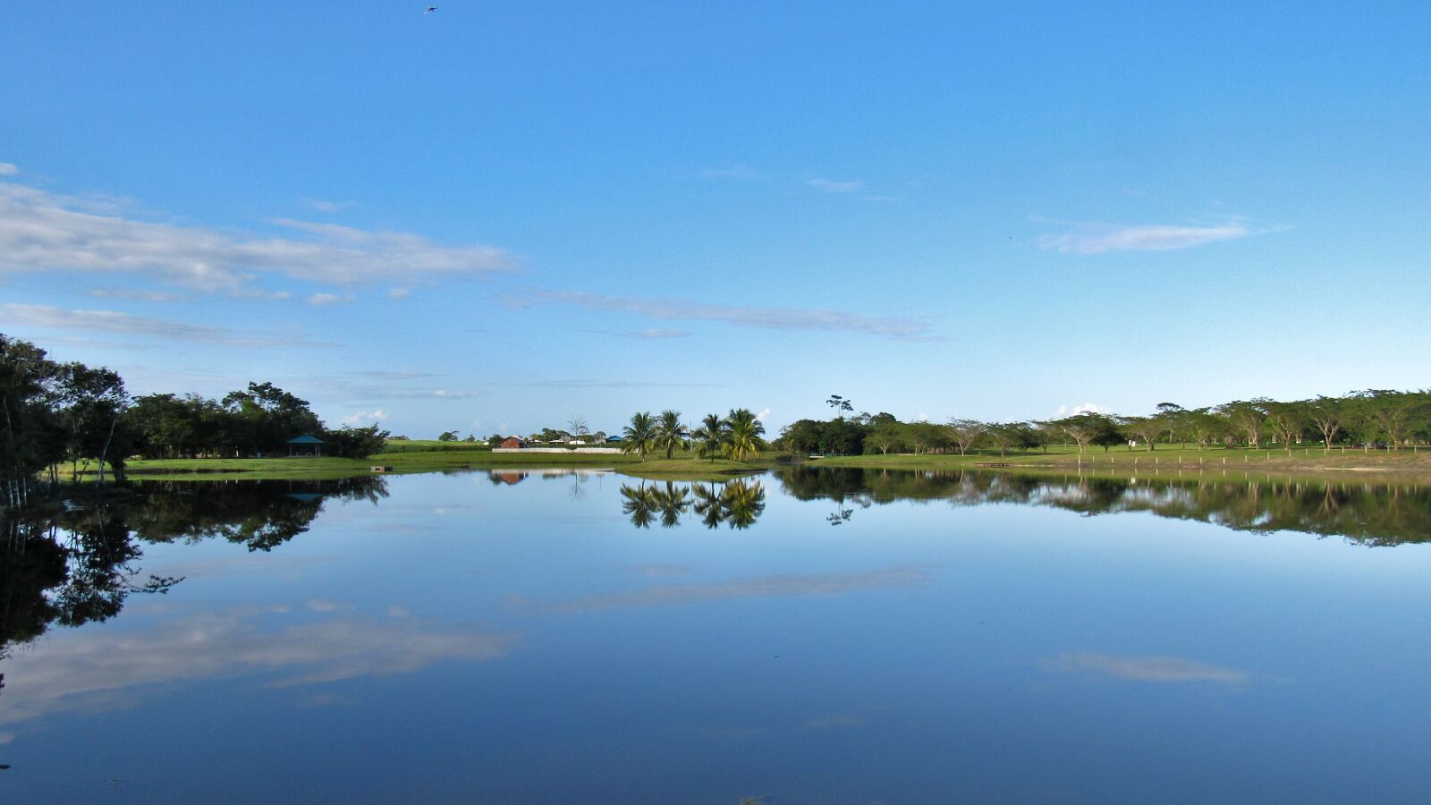 Canon PowerShot SX530 HS sample photo. Water, nature, reflection photography