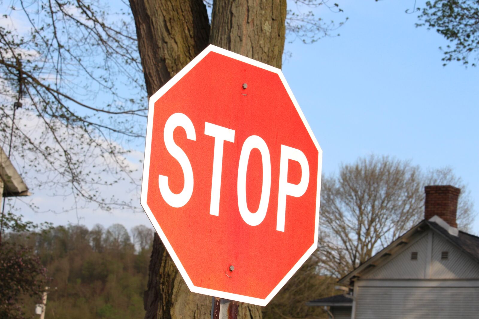 Canon EOS 650D (EOS Rebel T4i / EOS Kiss X6i) + Canon EF-S 55-250mm F4-5.6 IS STM sample photo. Sign, stop, stop sign photography