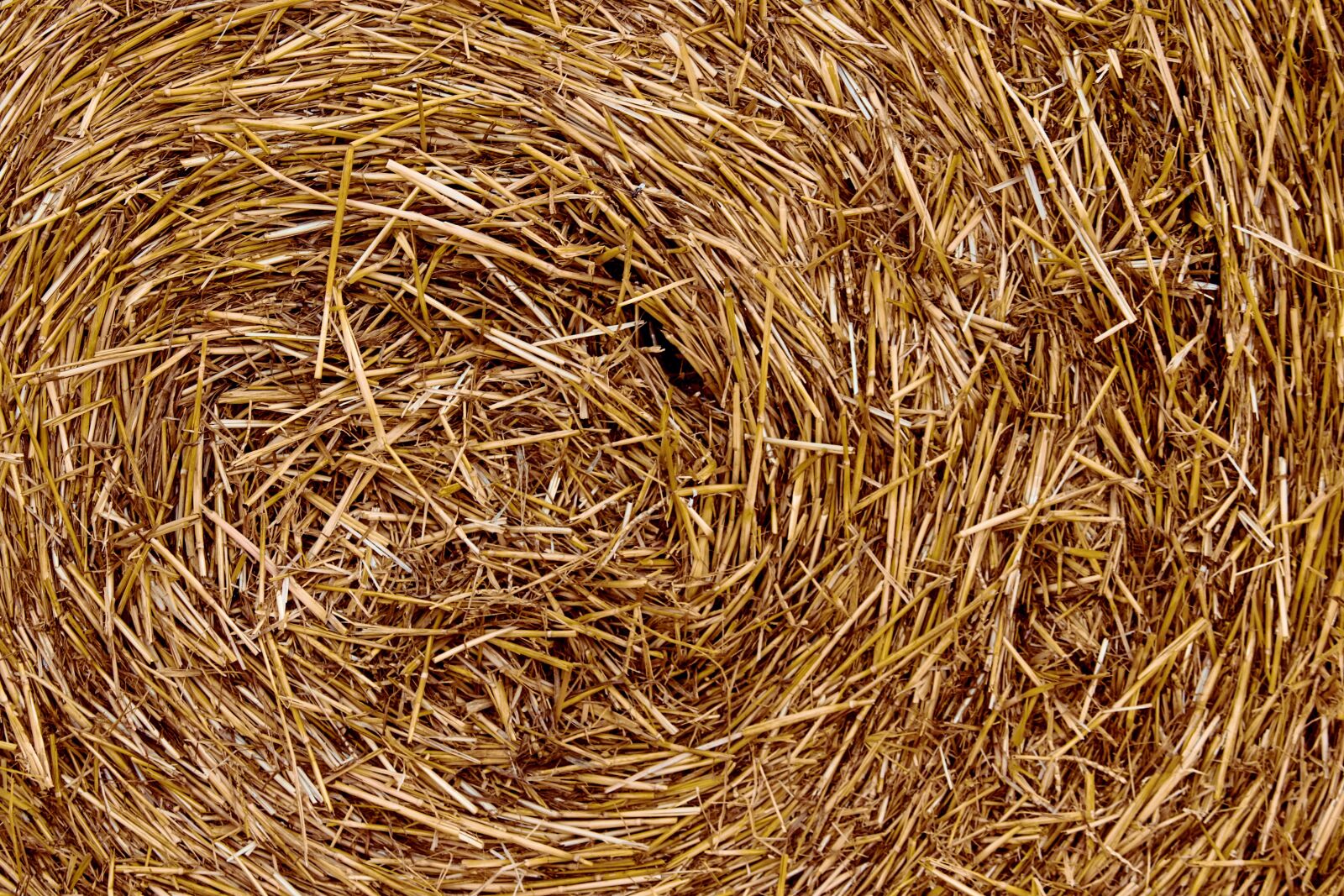 Canon EF-S 55-250mm F4-5.6 IS II sample photo. Straw, straw bales, close photography