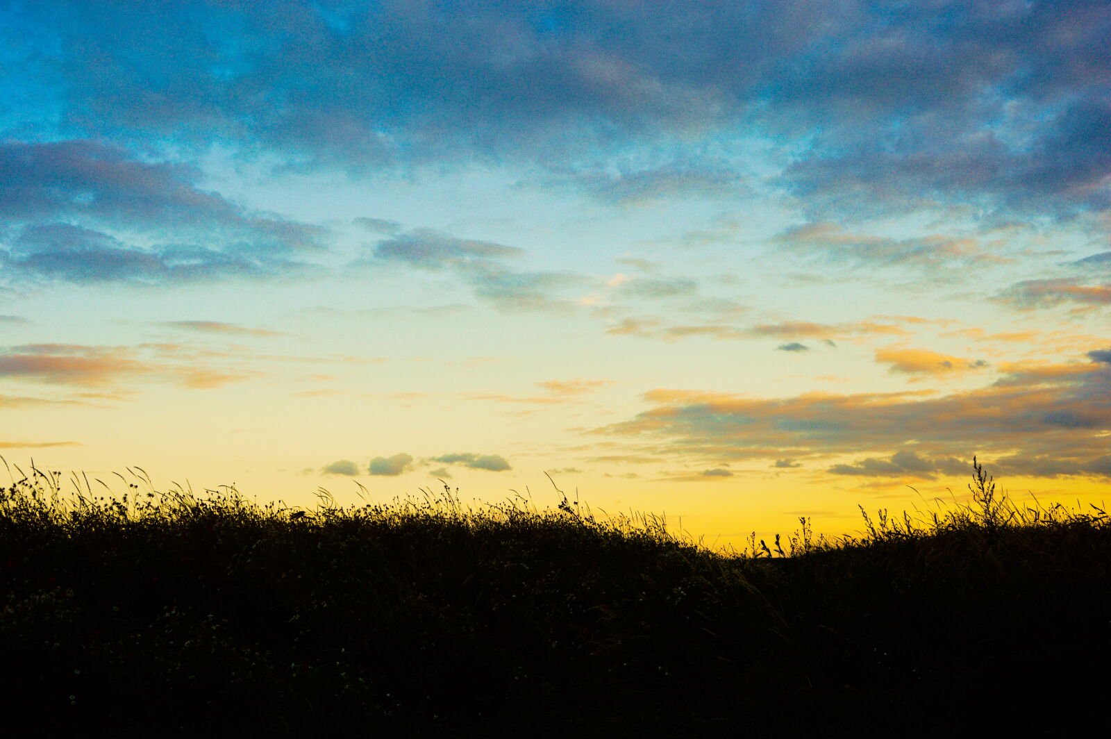 Nikon D3200 sample photo. Colors, grass, sky photography