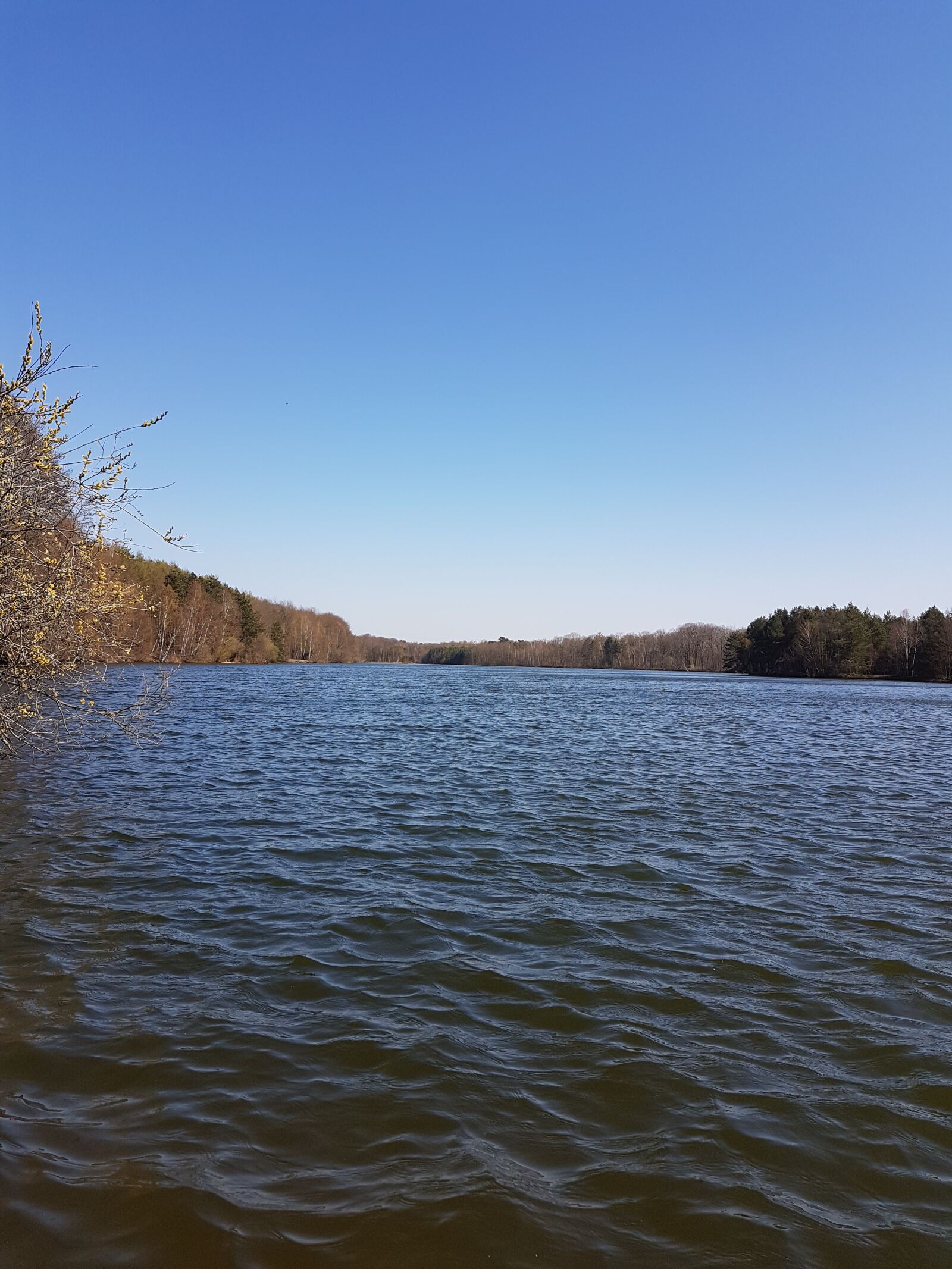 Samsung Galaxy S7 sample photo. Lake, nature, water photography