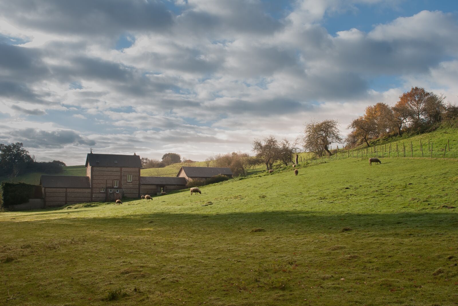 Nikon D80 sample photo. Farm, landscape, normandy photography
