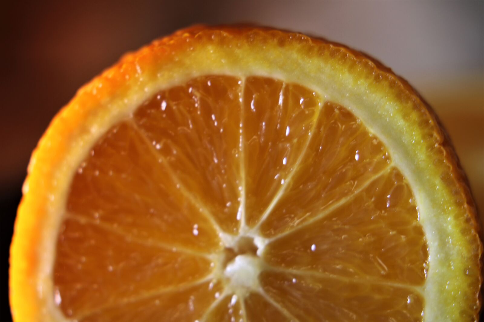 Canon EOS 2000D (EOS Rebel T7 / EOS Kiss X90 / EOS 1500D) sample photo. Orange, close, nature photography