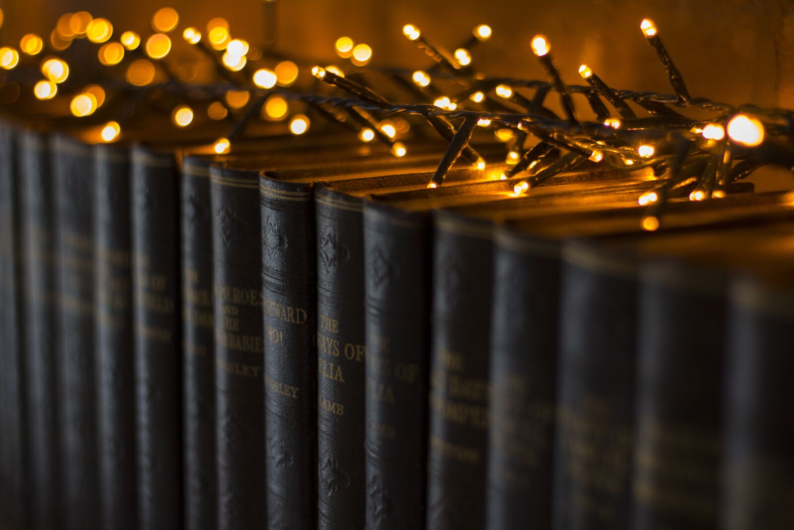 Canon EOS 70D + Canon EF 50mm F1.8 STM sample photo. Blur, celebration, christmas photography