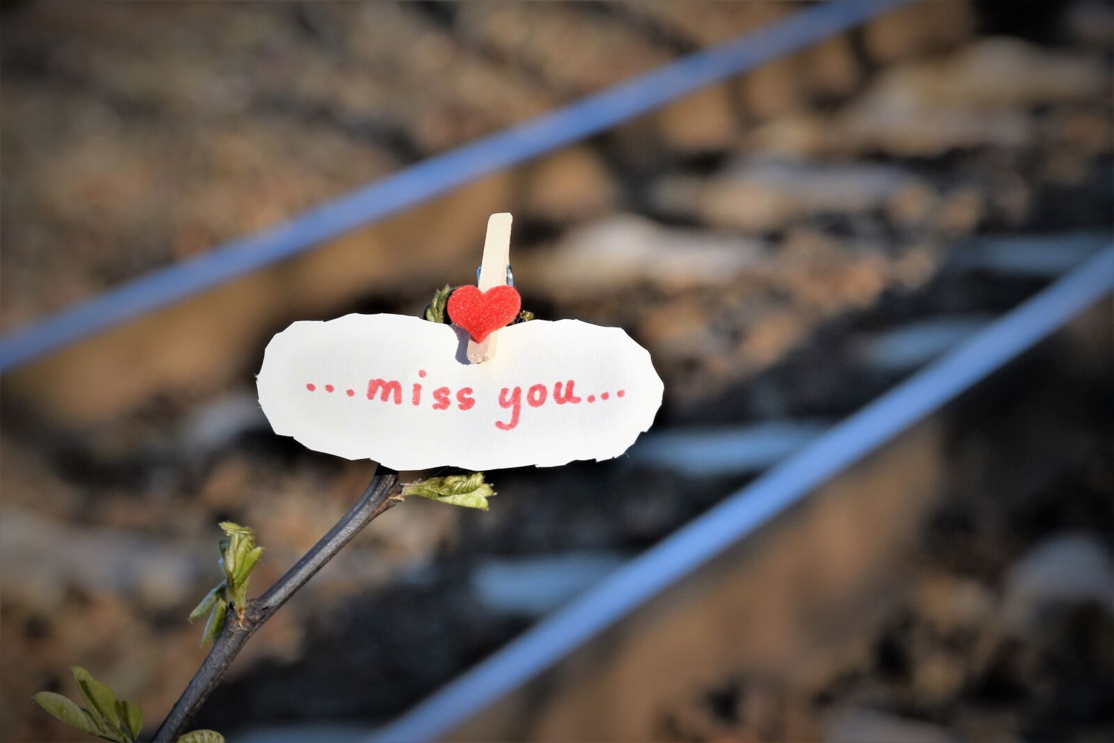 Nikon D5600 sample photo. Message, red heart, to photography
