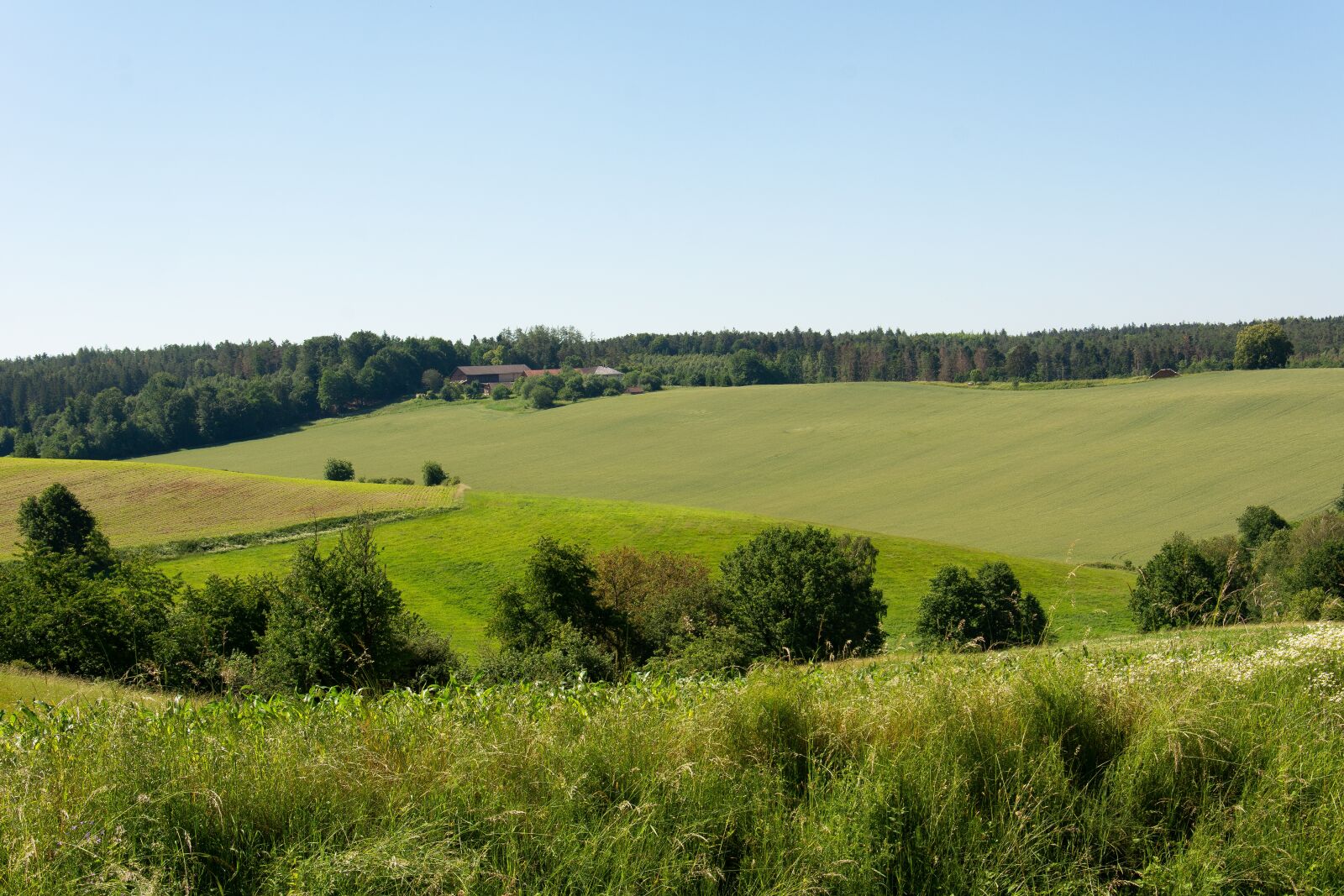 Nikon D7100 sample photo. Nature, landscape, forest photography