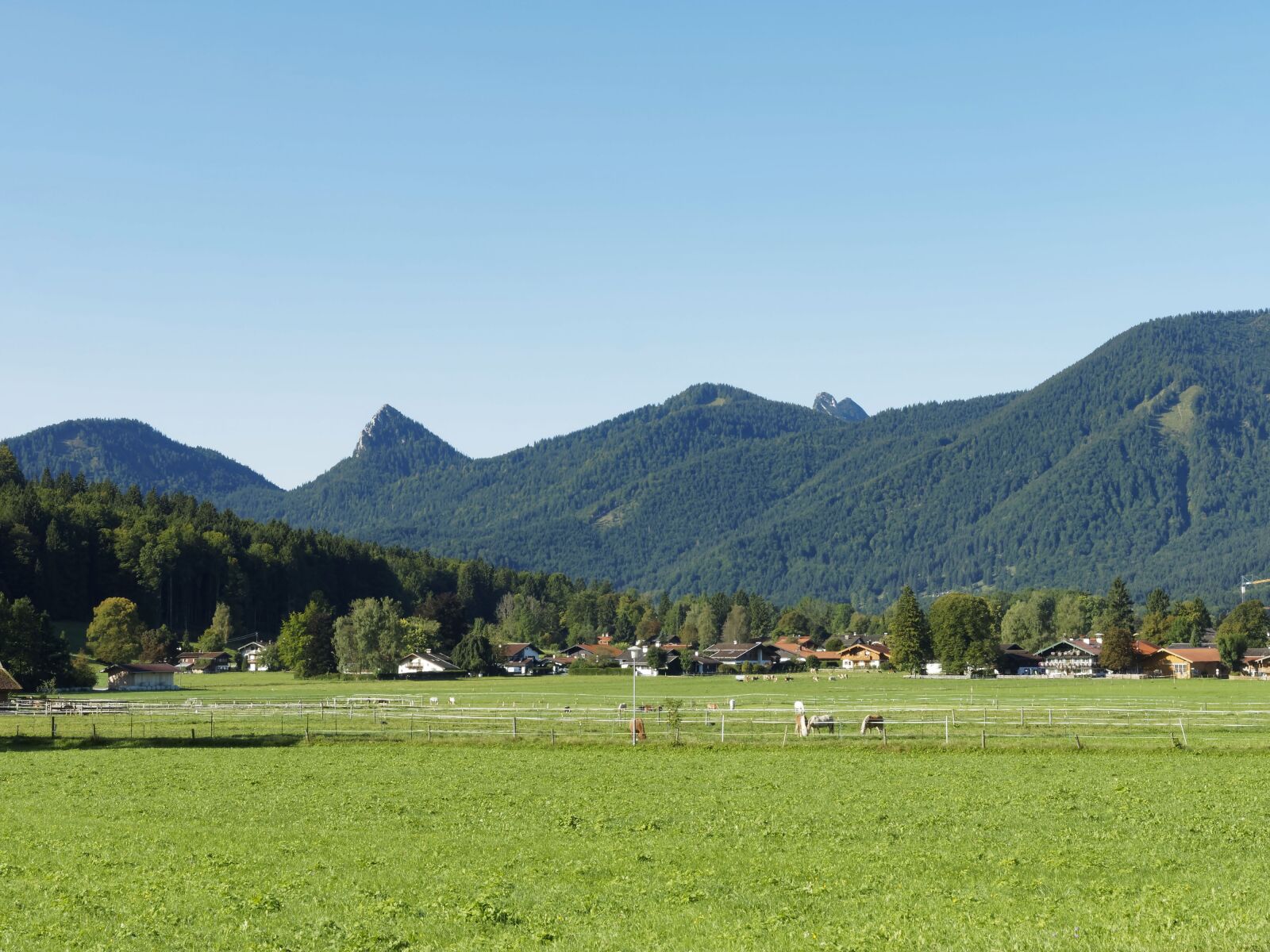 Olympus OM-D E-M1 + Olympus M.Zuiko Digital ED 12-40mm F2.8 Pro sample photo. Village, mountain, bavaria photography
