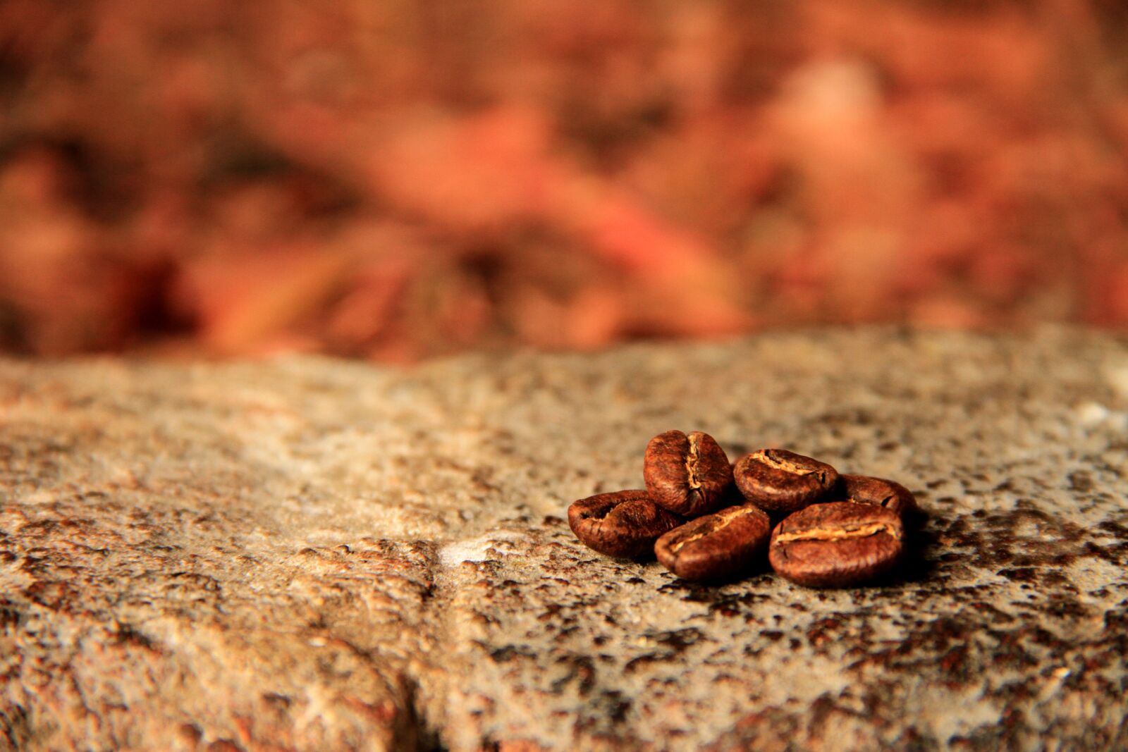 Canon EOS 7D sample photo. Coffee, toasted, caffeine photography
