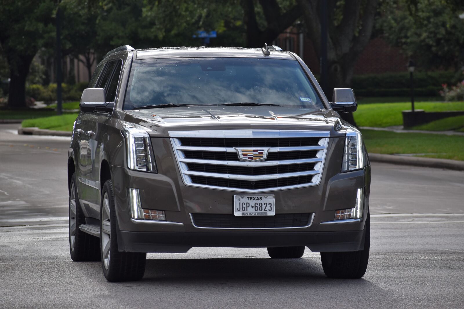 Nikon D3500 sample photo. Cadillac escalade, 2020, all photography