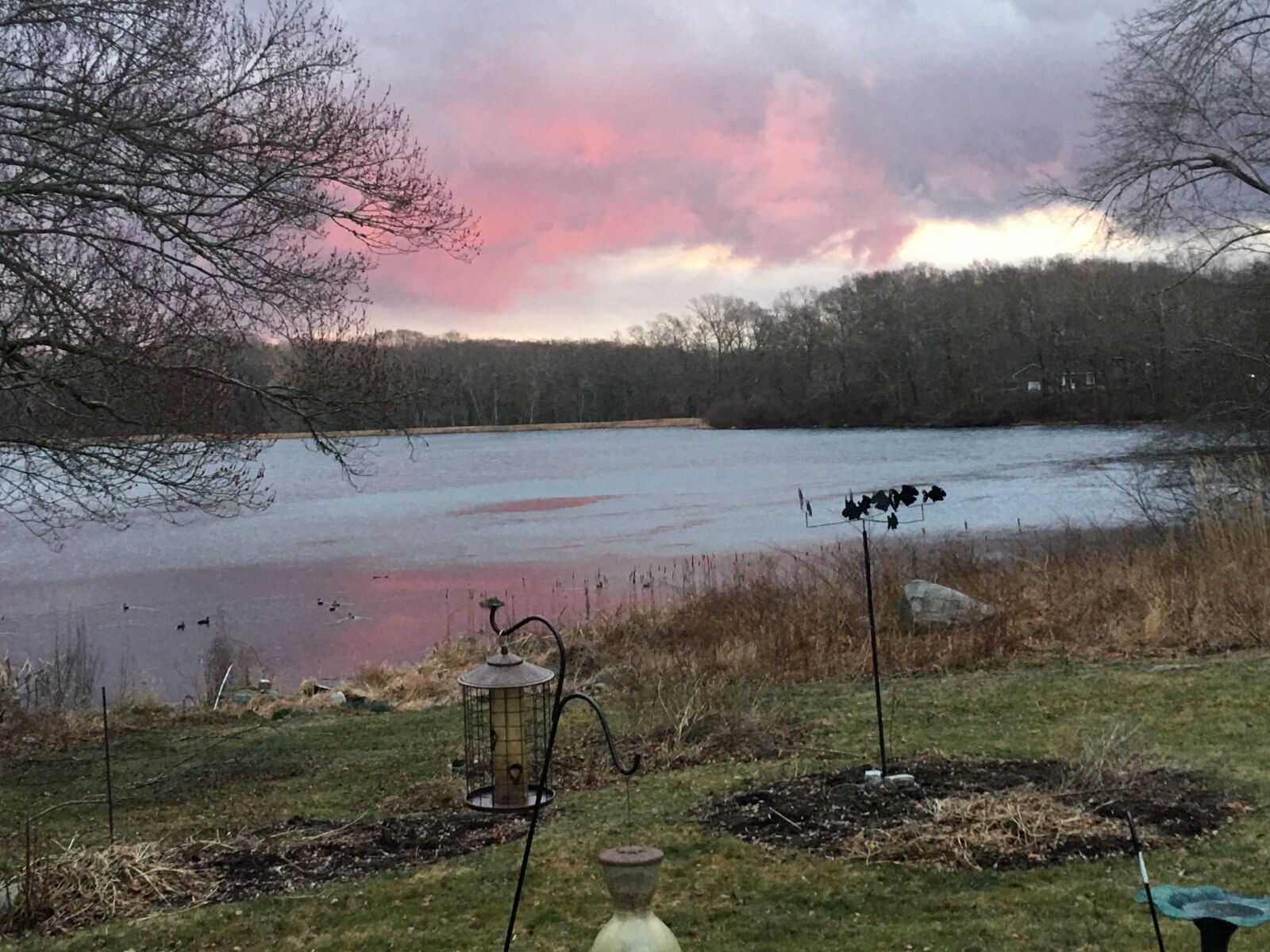 iPhone 6s Plus back camera 4.15mm f/2.2 sample photo. Sunrise, pond, landscape photography