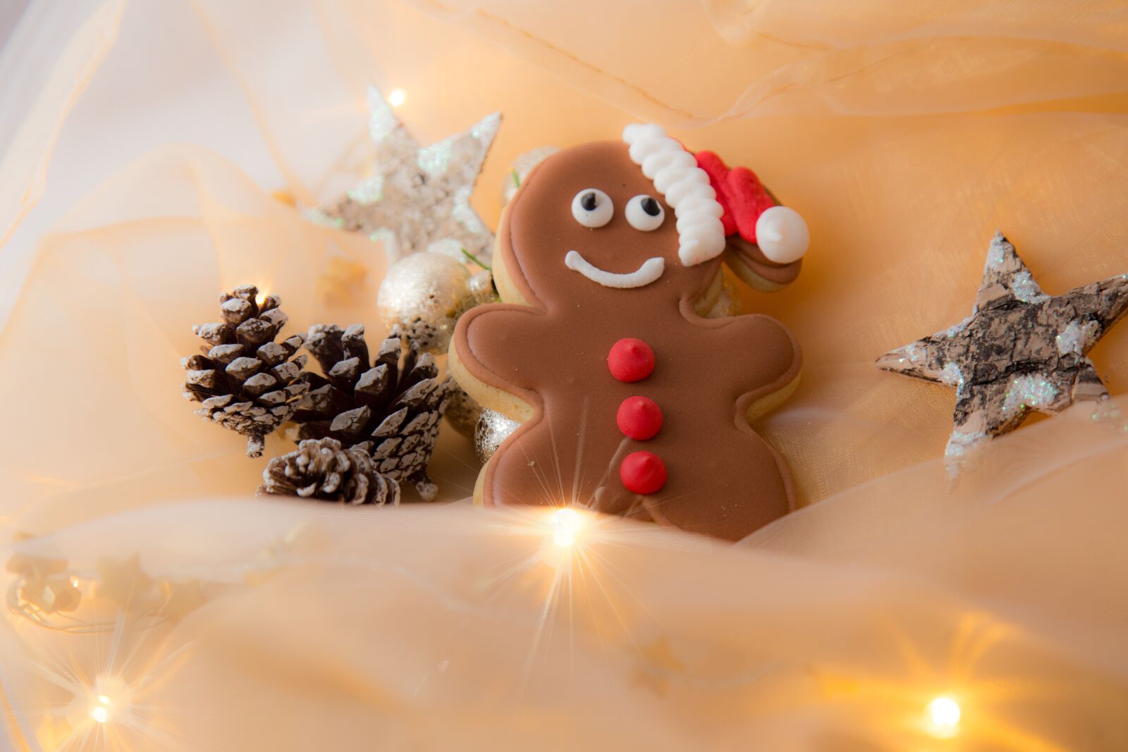 Canon EOS 6D + Canon EF 24-105mm F4L IS USM sample photo. Christmas, gold, wood photography