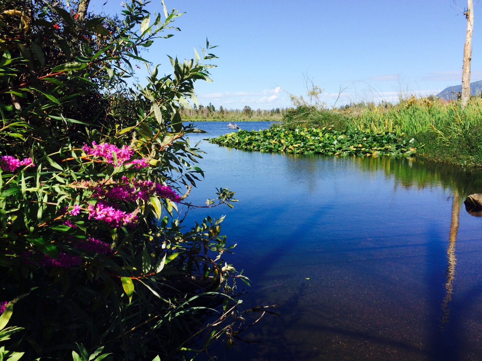 iPhone 5s back camera 4.15mm f/2.2 sample photo. Fazon, lake photography