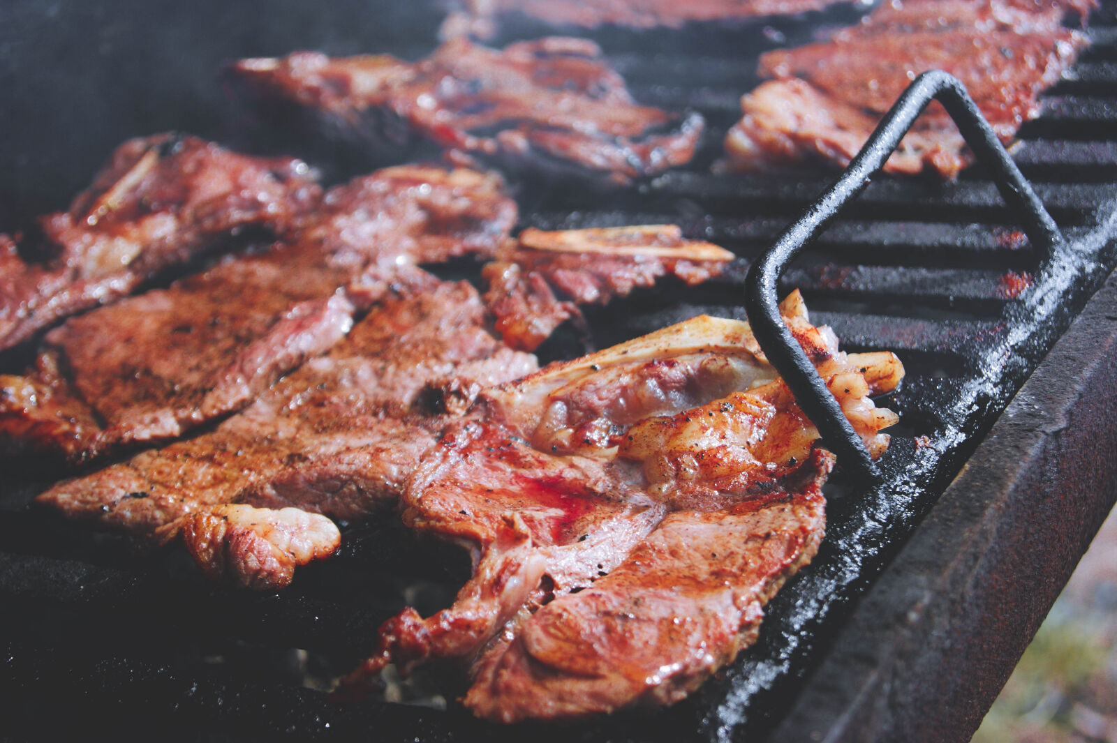 Sony Alpha DSLR-A390 sample photo. Carne, asada photography