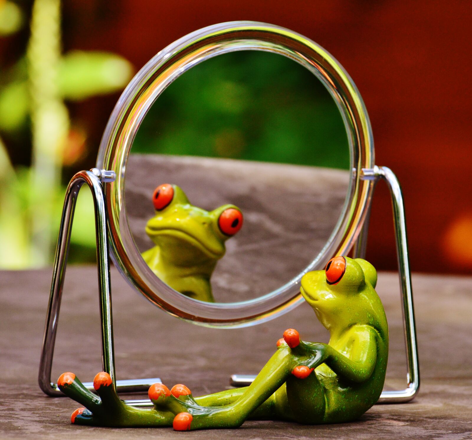 Nikon D3200 sample photo. Frog, mirror, mirror image photography