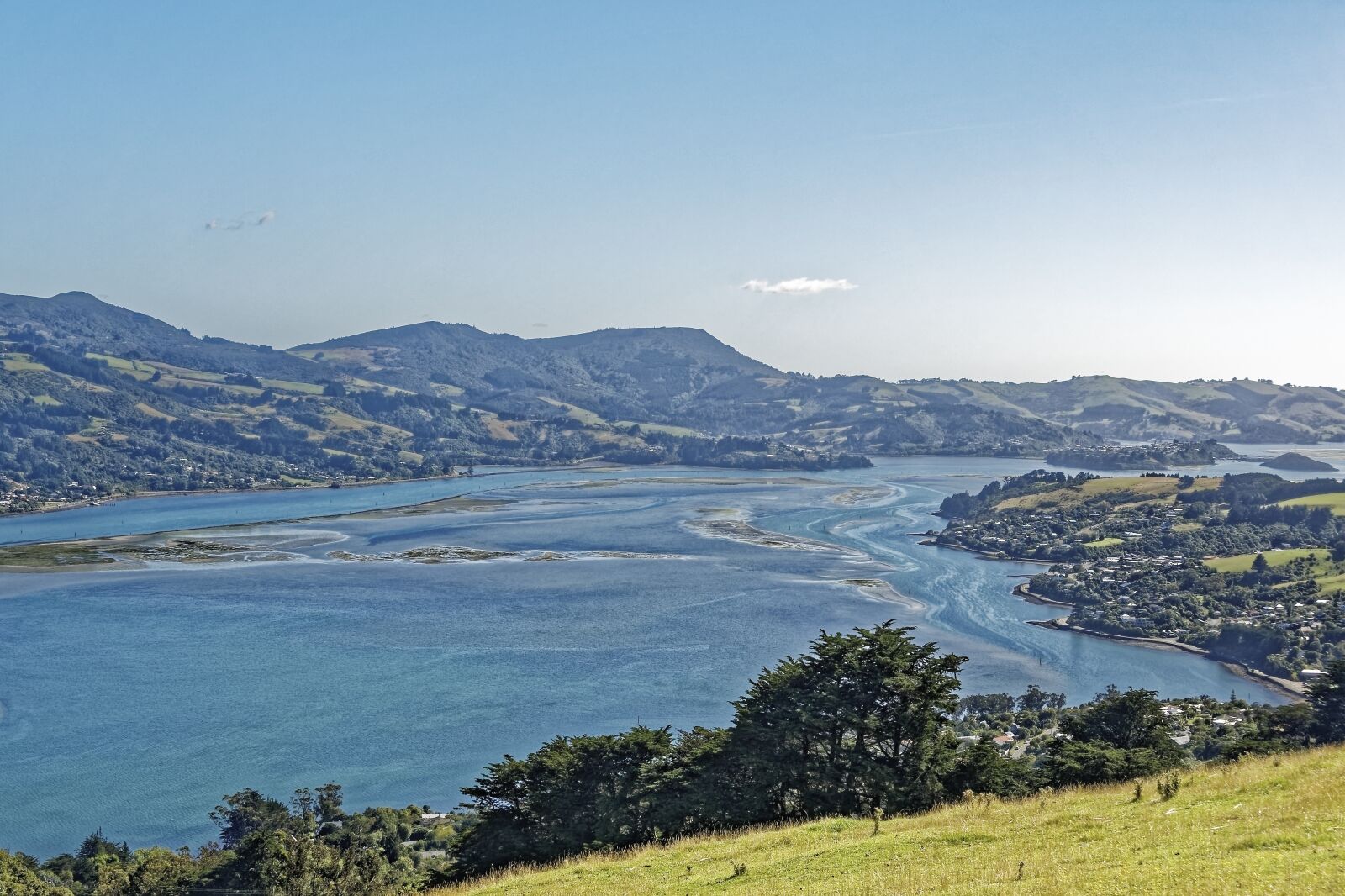 Nikon D500 sample photo. New zealand, otago harbour photography