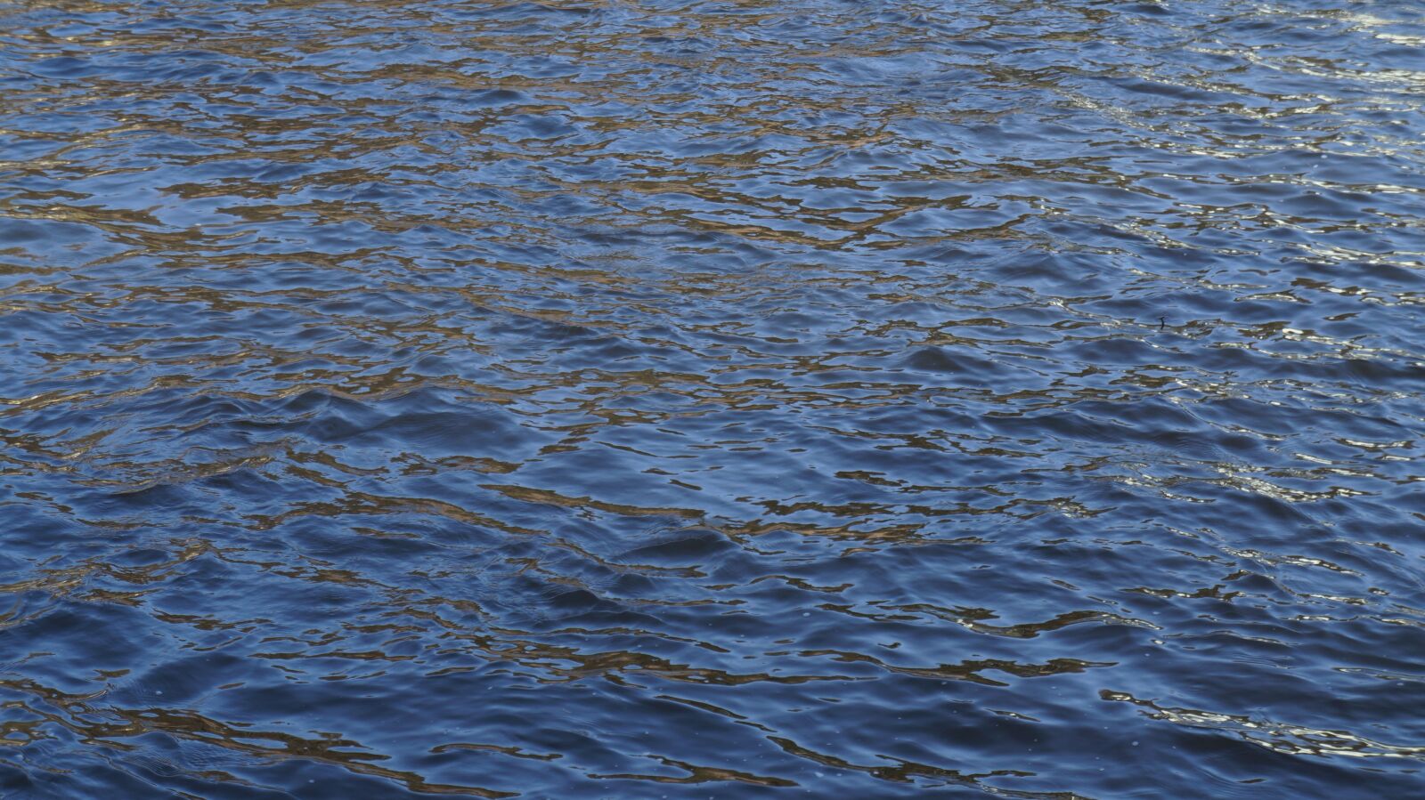 Sony Alpha a3000 + Sony E 18-55mm F3.5-5.6 OSS sample photo. Water, wave, waters photography