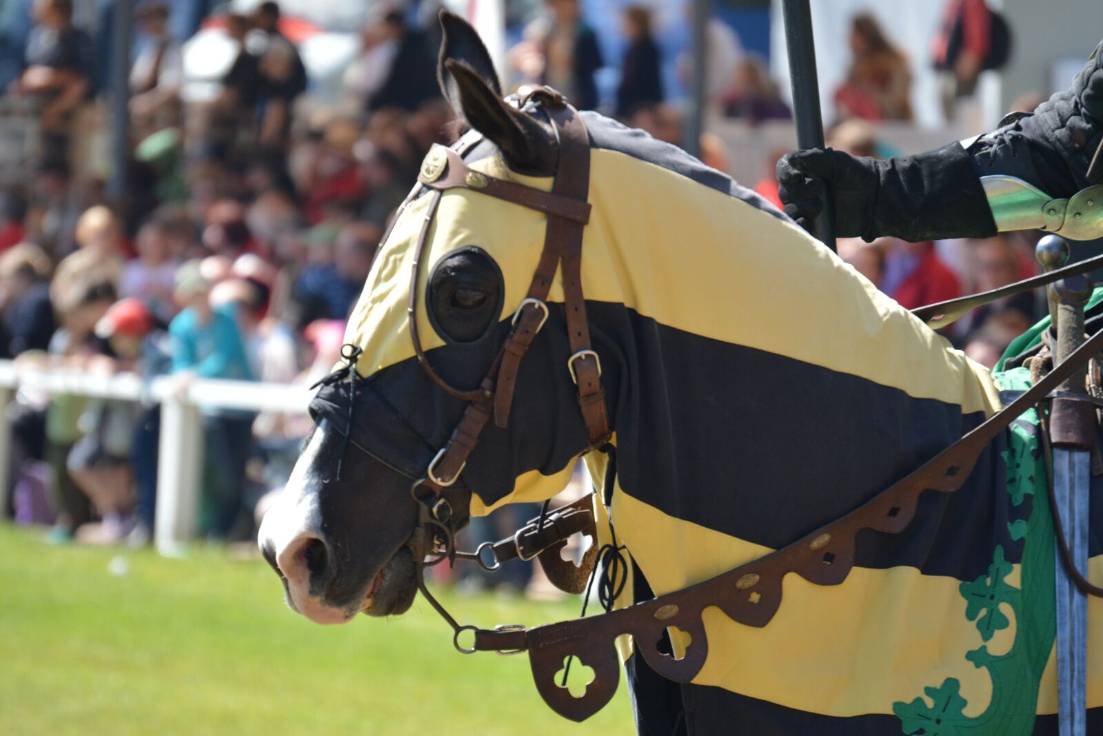 Nikon D5200 sample photo. Horse, knight festival, animal photography
