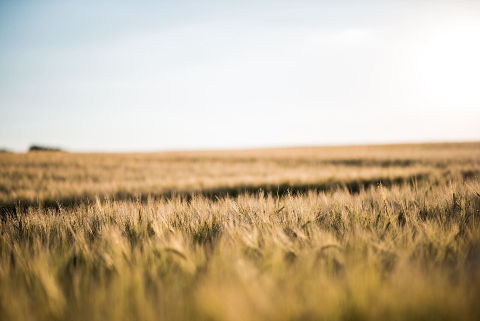Nikon D800 sample photo. Scene, landscape, nature photography