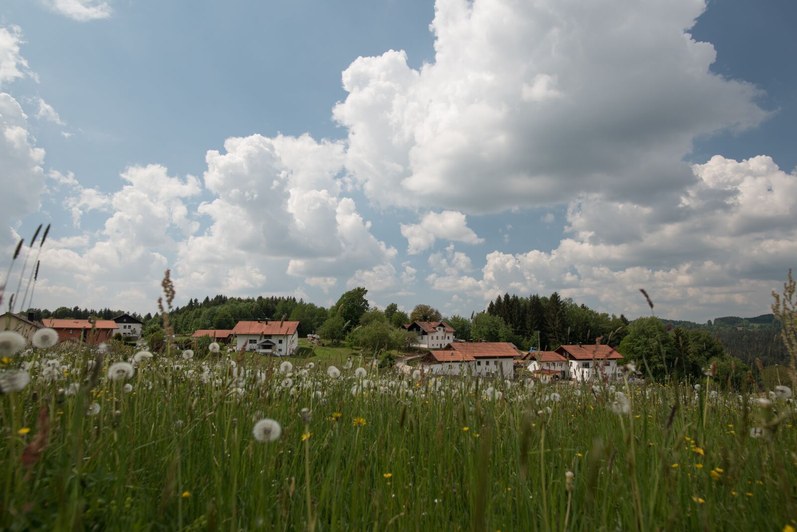 Nikon D750 sample photo. Neuschönau, germany, bavaria photography