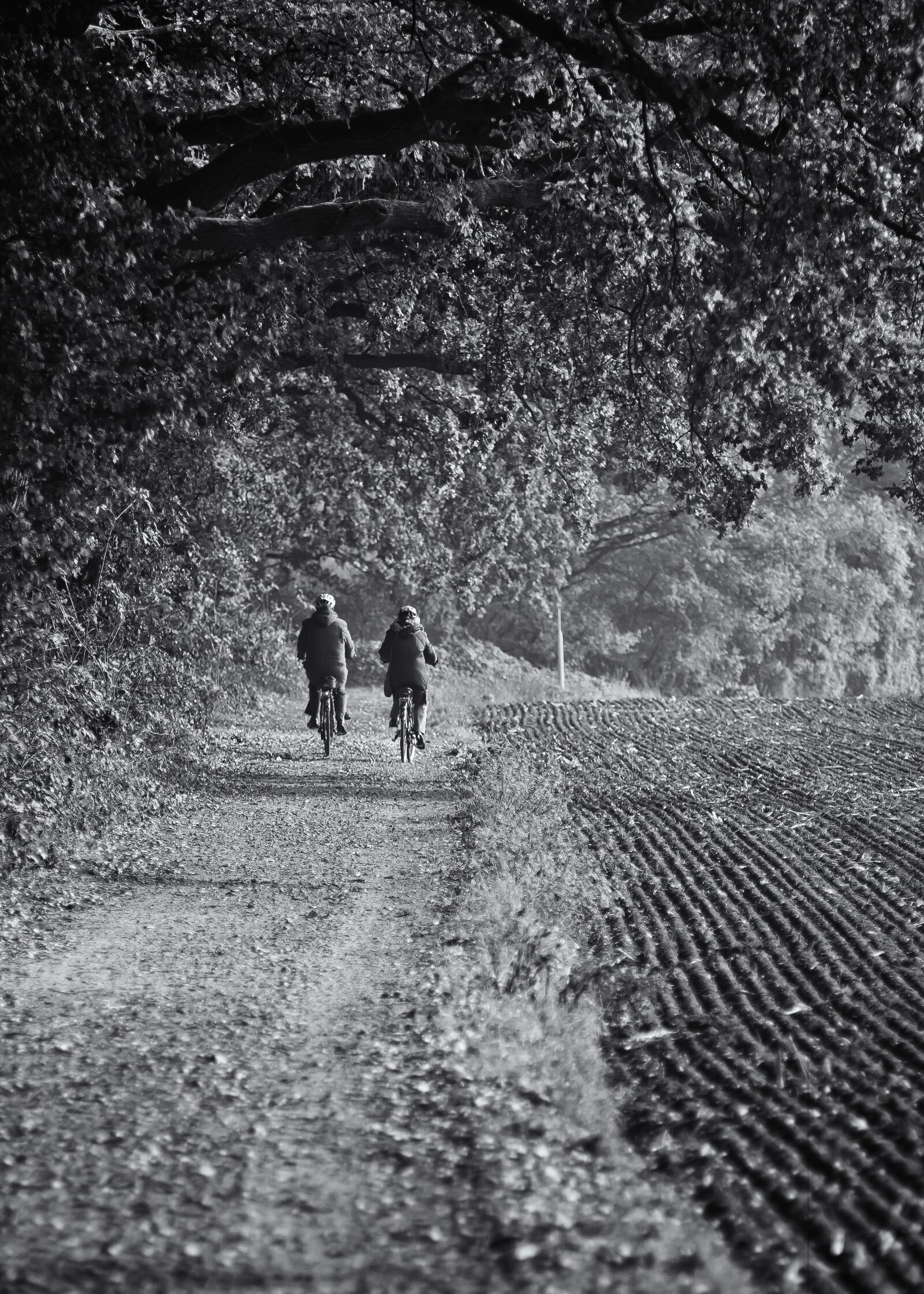Canon EOS 50D sample photo. Bike ride, bike, couple photography