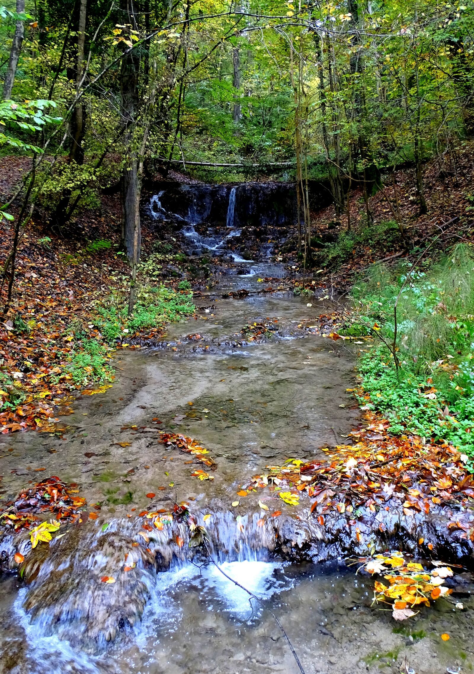 Sony Cyber-shot DSC-HX400V sample photo. Creek, bach, nature photography