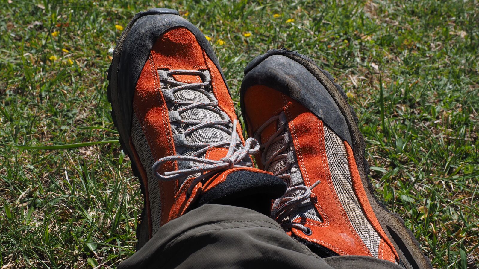 Olympus OM-D E-M1 + Olympus M.Zuiko Digital ED 12-40mm F2.8 Pro sample photo. Shoes, hiking shoes, alpine photography