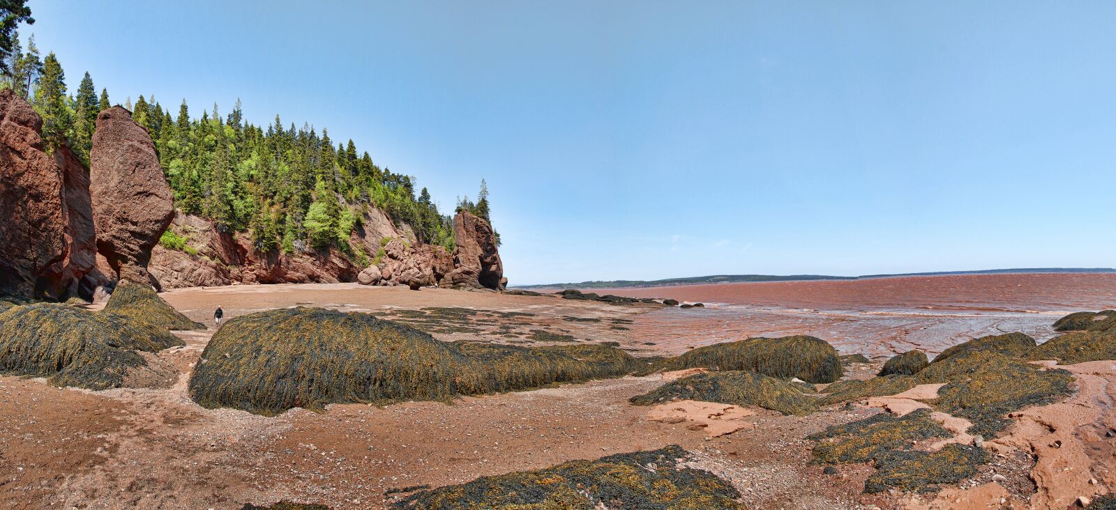 Nikon D200 sample photo. Hopewell rocks, bay of photography