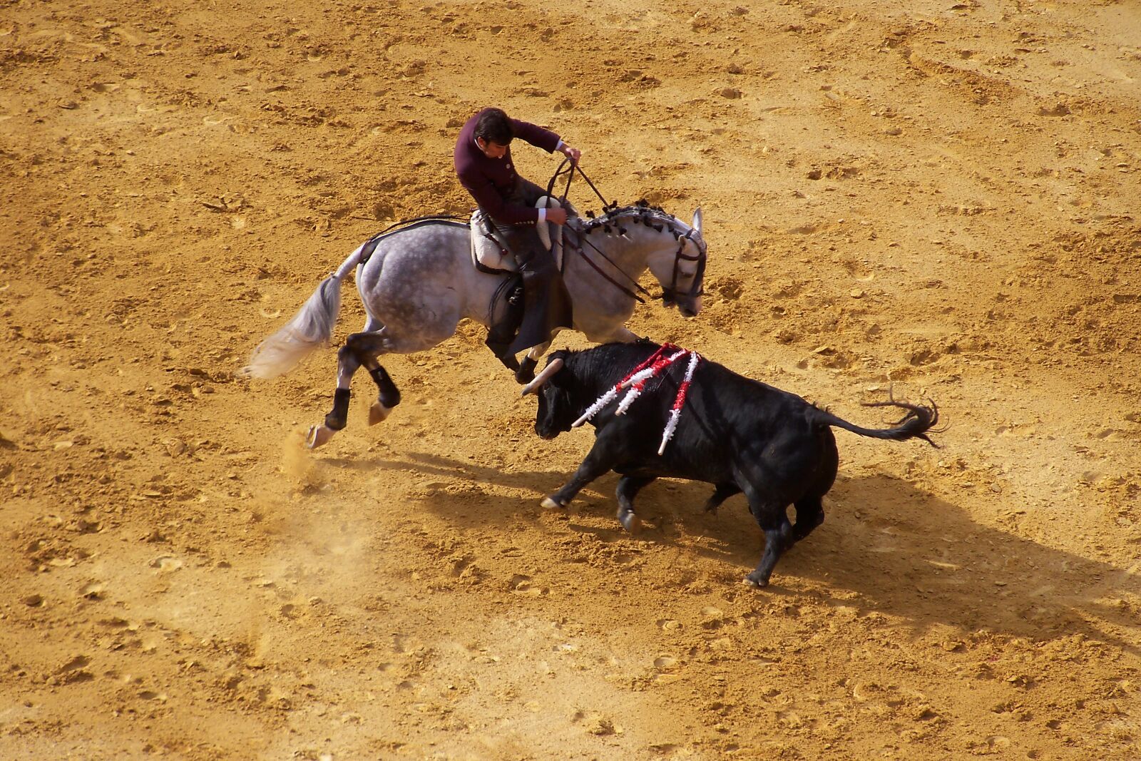 Kodak EasyShare Z915 sample photo. Corrida, bull, spain photography