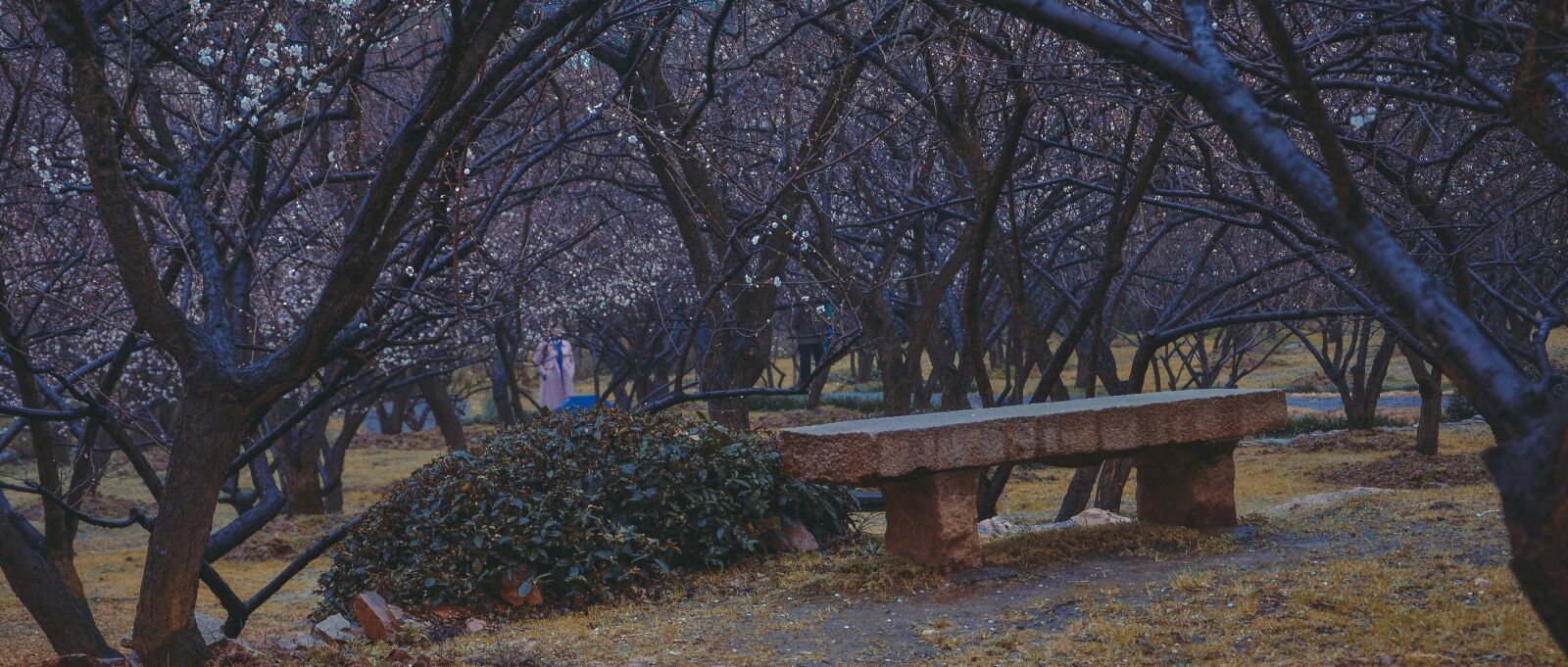 Nikon D7100 sample photo. China wind, suzhou, fragrant photography