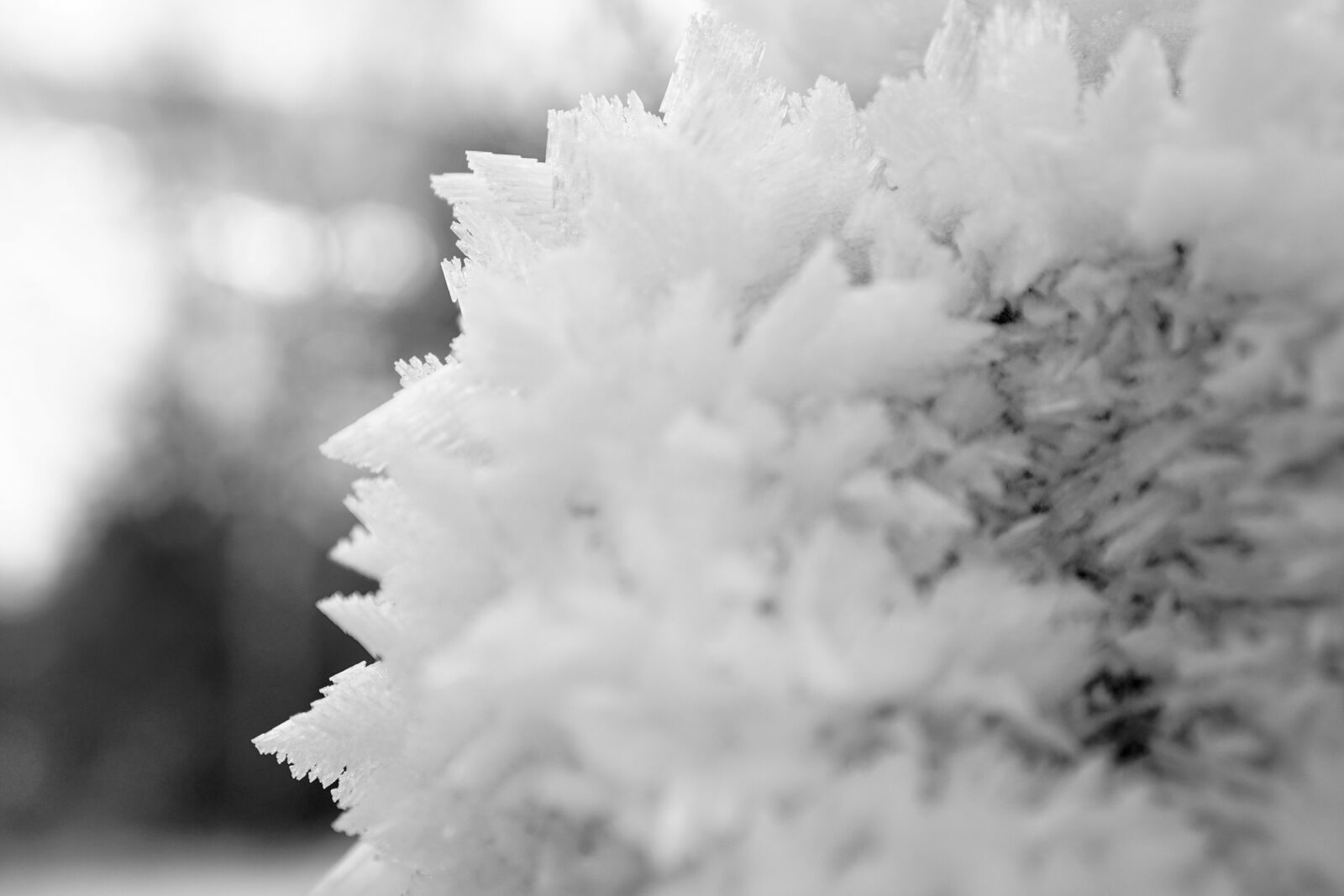 Sony a6000 + Sony E 35mm F1.8 OSS sample photo. Crystals, snow, ice photography