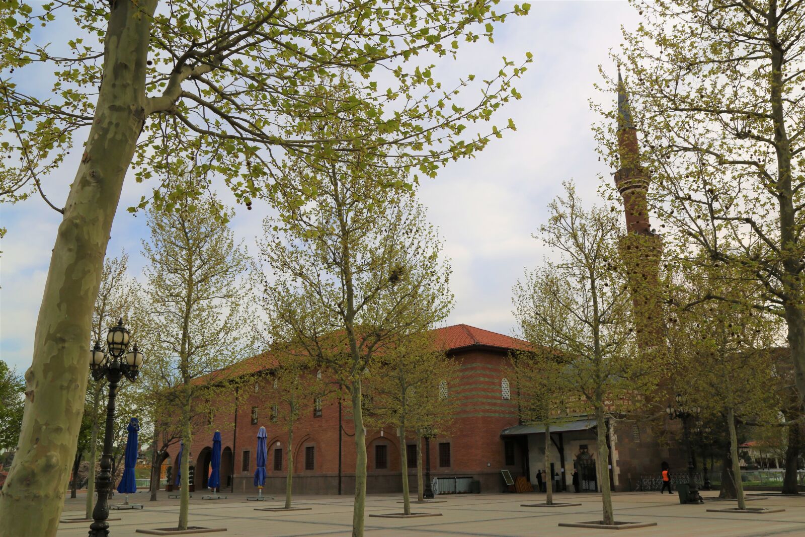 Canon EF 24-105mm F4L IS USM sample photo. Cami, minaret, tree photography