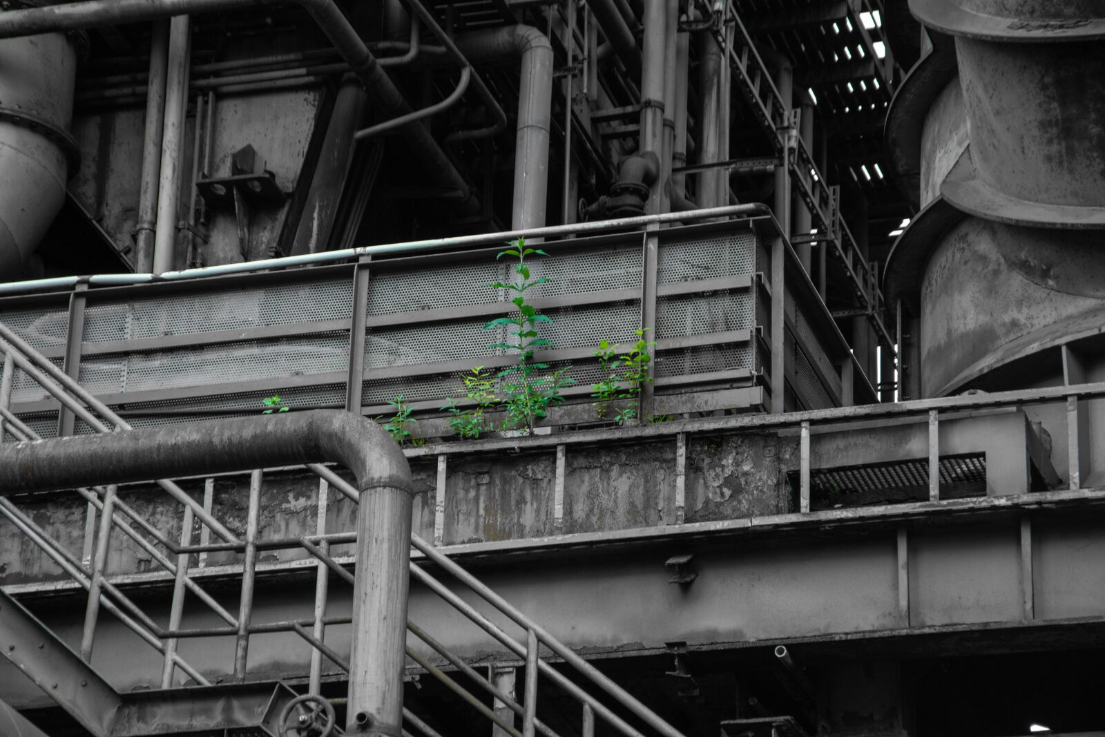 Nikon D7200 sample photo. Industry, green, plant photography