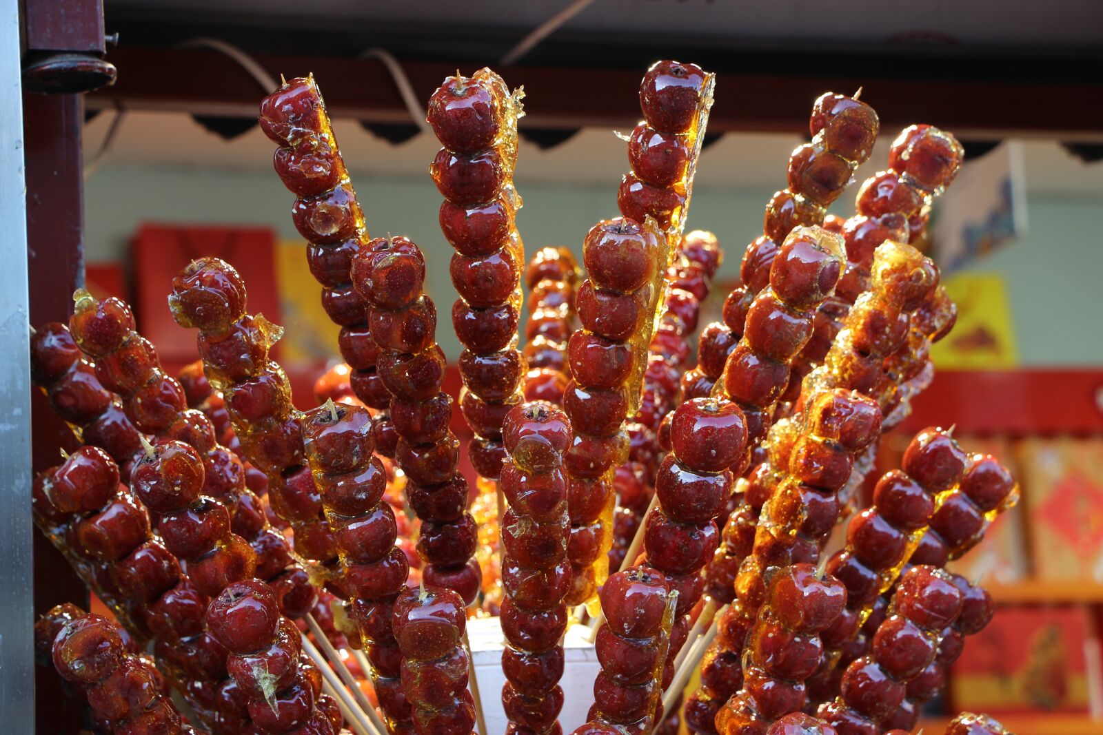 Canon EOS 600D (Rebel EOS T3i / EOS Kiss X5) sample photo. Food, traditional food, color photography