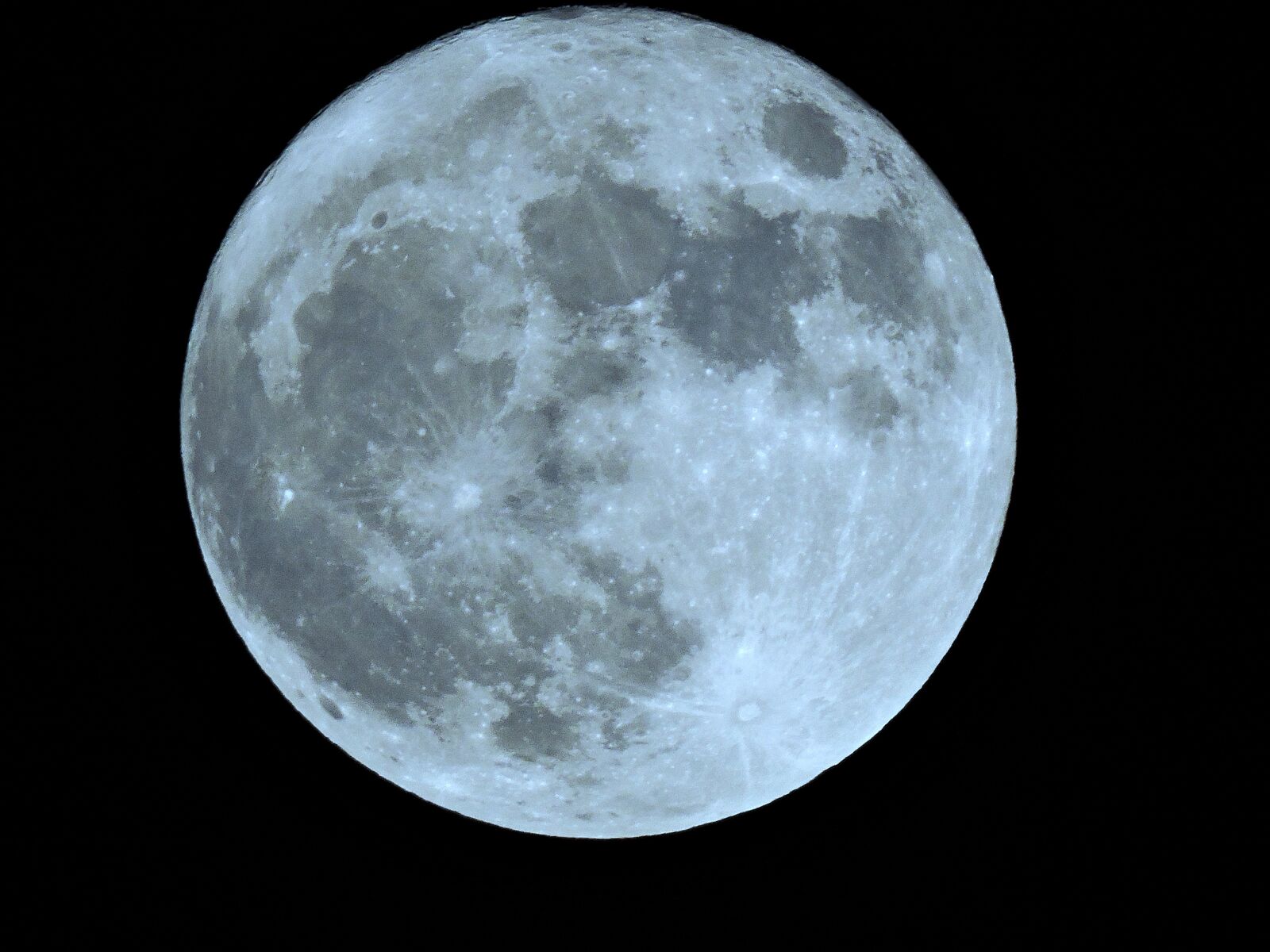 Nikon Coolpix P600 sample photo. Luna, super, bright photography