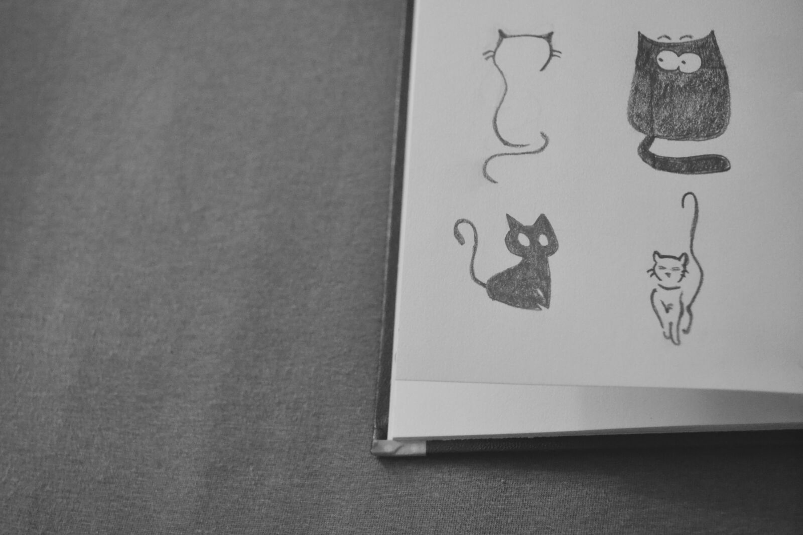 Nikon D3100 sample photo. Animals, black, and, white photography