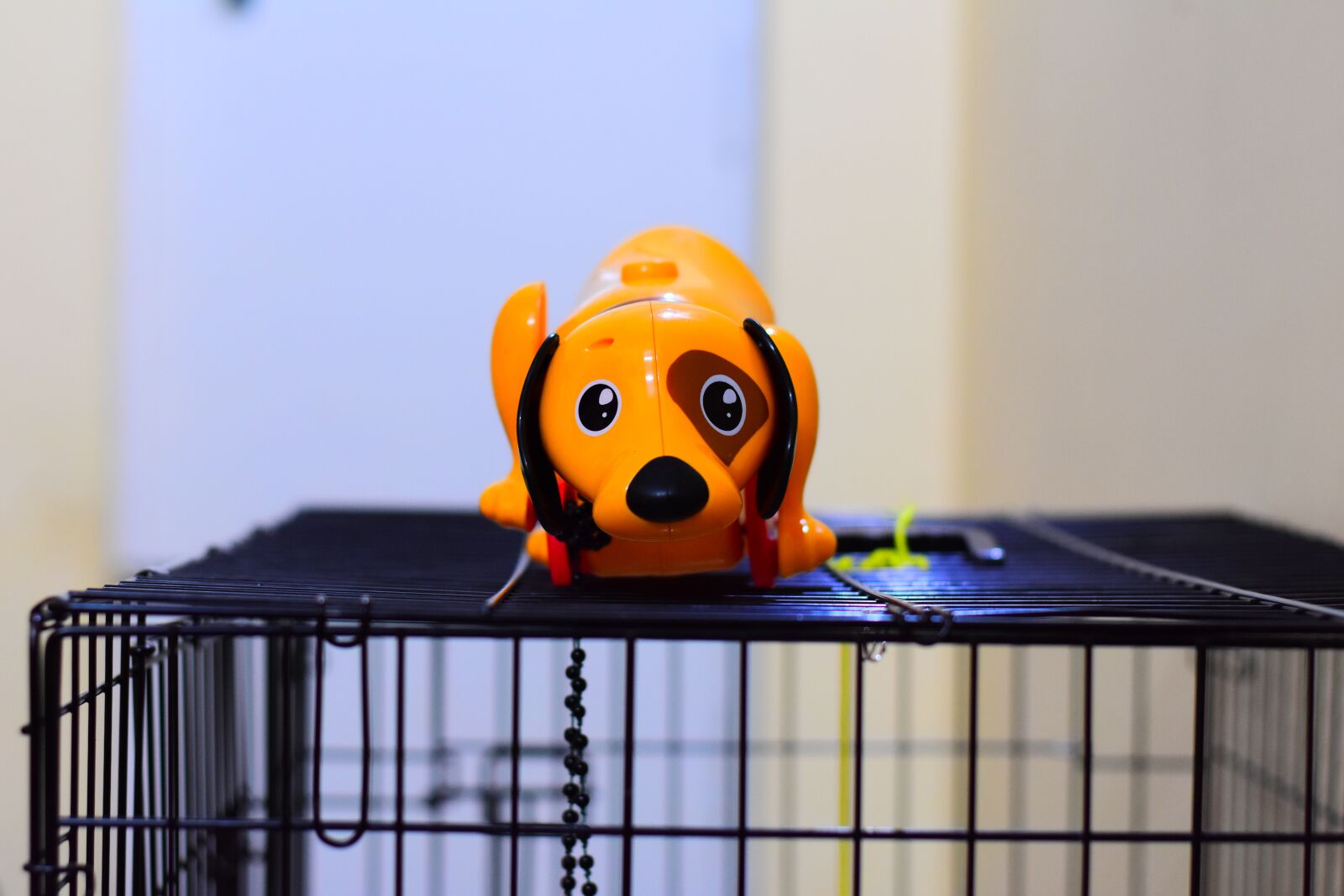 Nikon D3400 sample photo. Dogtoy, puppy, dog photography