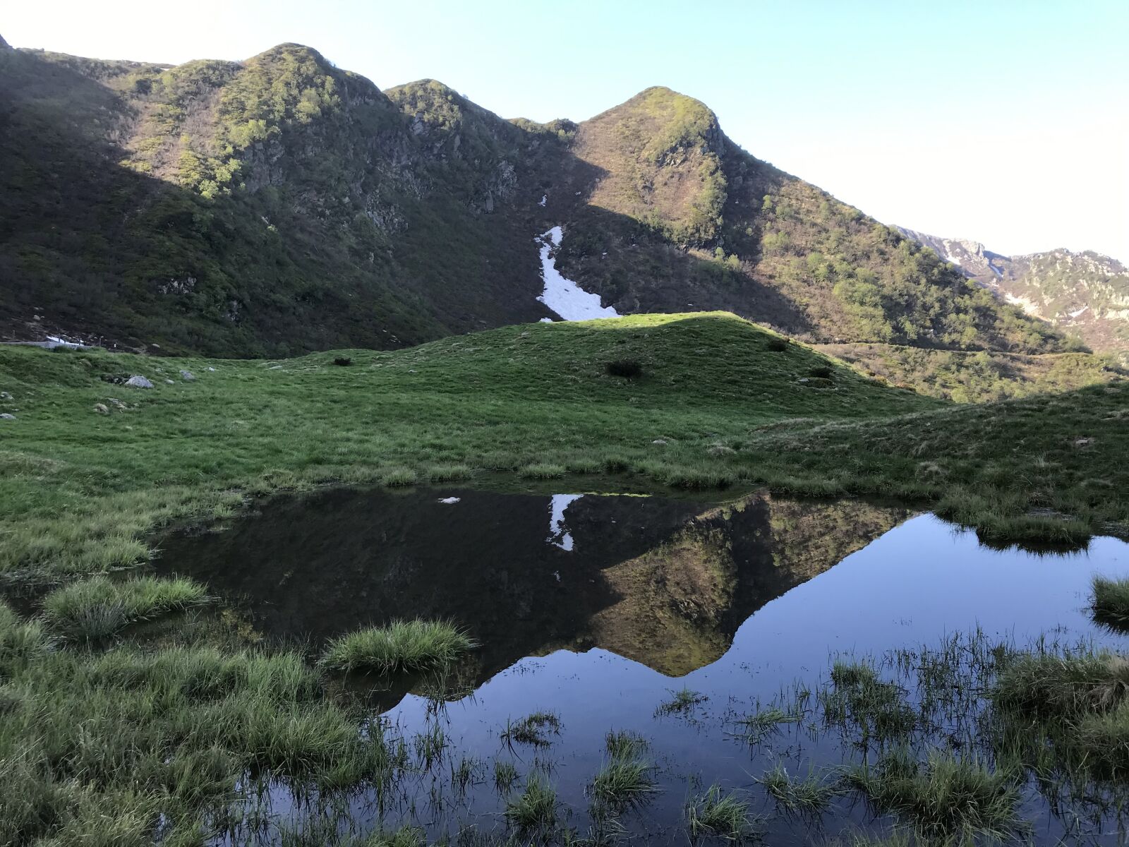 iPhone 7 back camera 3.99mm f/1.8 sample photo. The pond below the photography