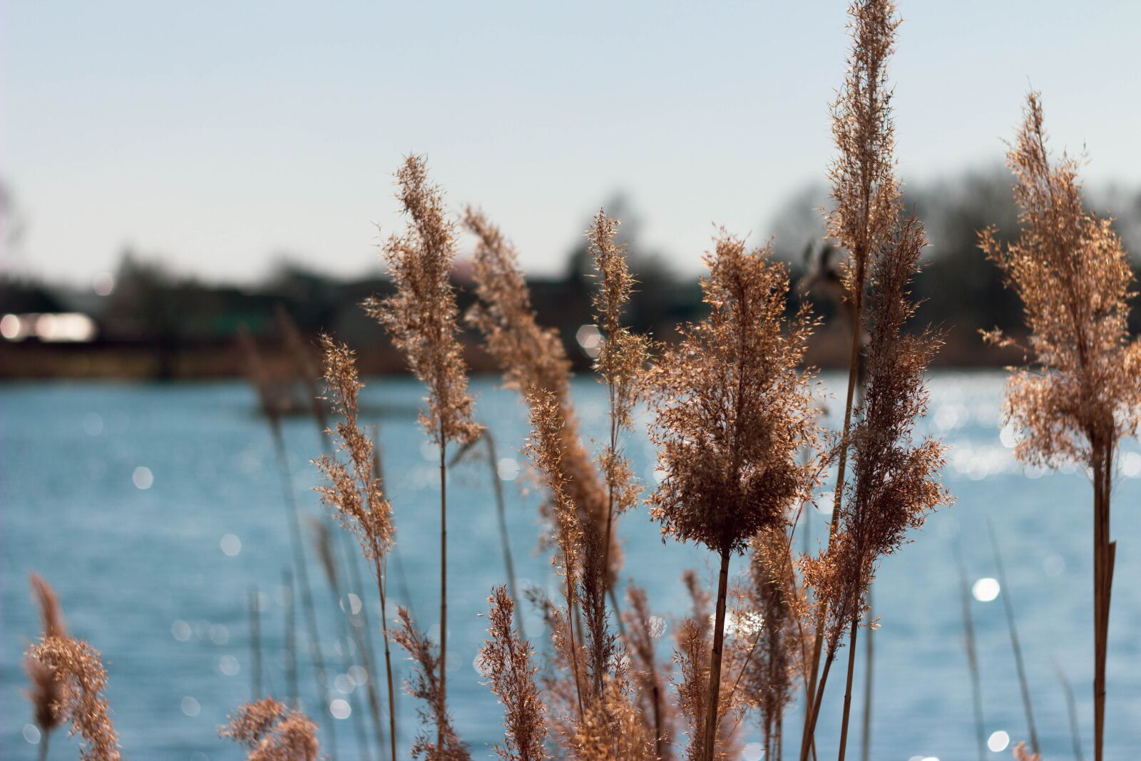 Canon EOS 600D (Rebel EOS T3i / EOS Kiss X5) sample photo. Lake, reservoir, nature photography