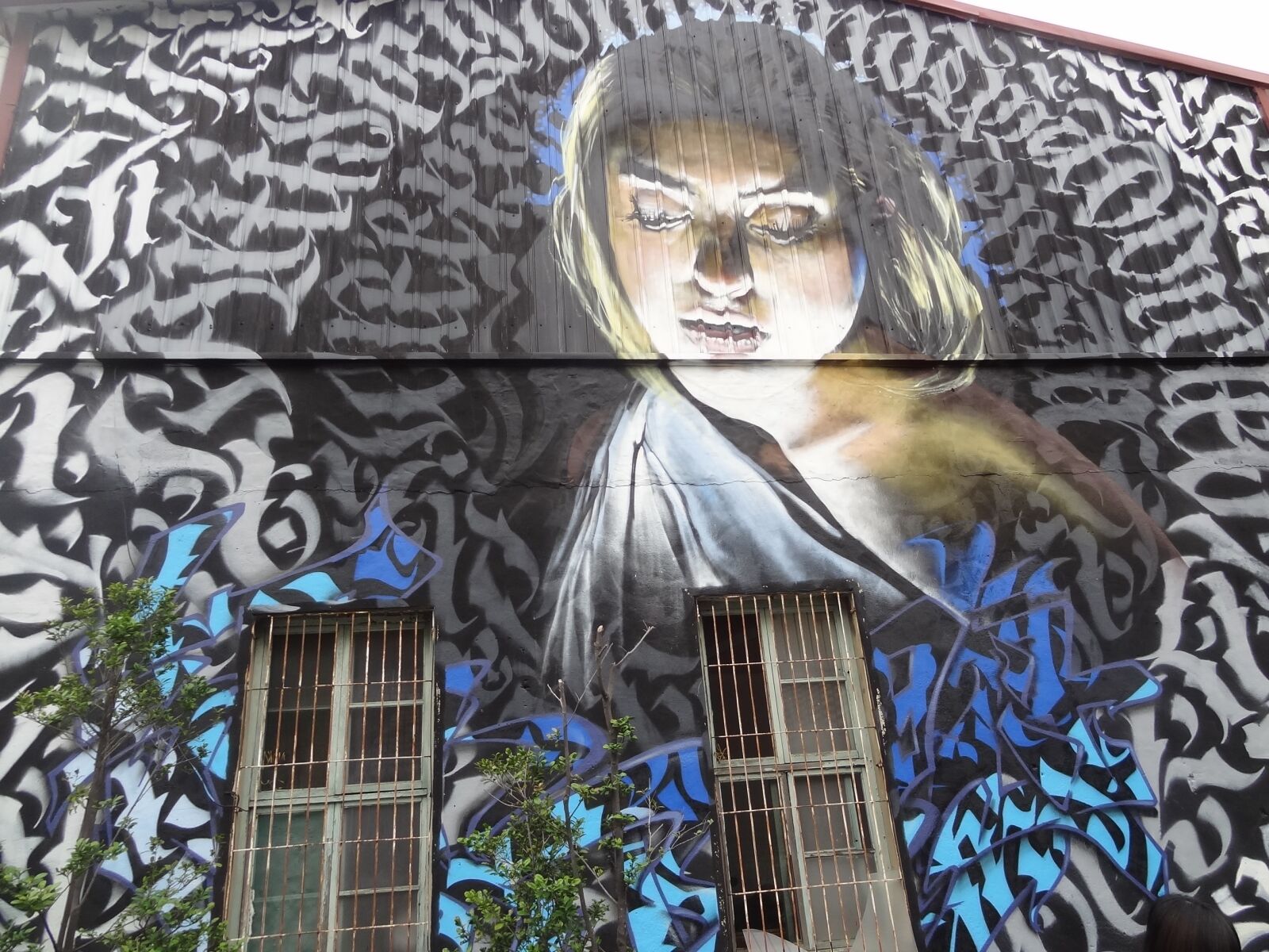 Sony Cyber-shot DSC-HX9V sample photo. The mural, taiwan, woman photography